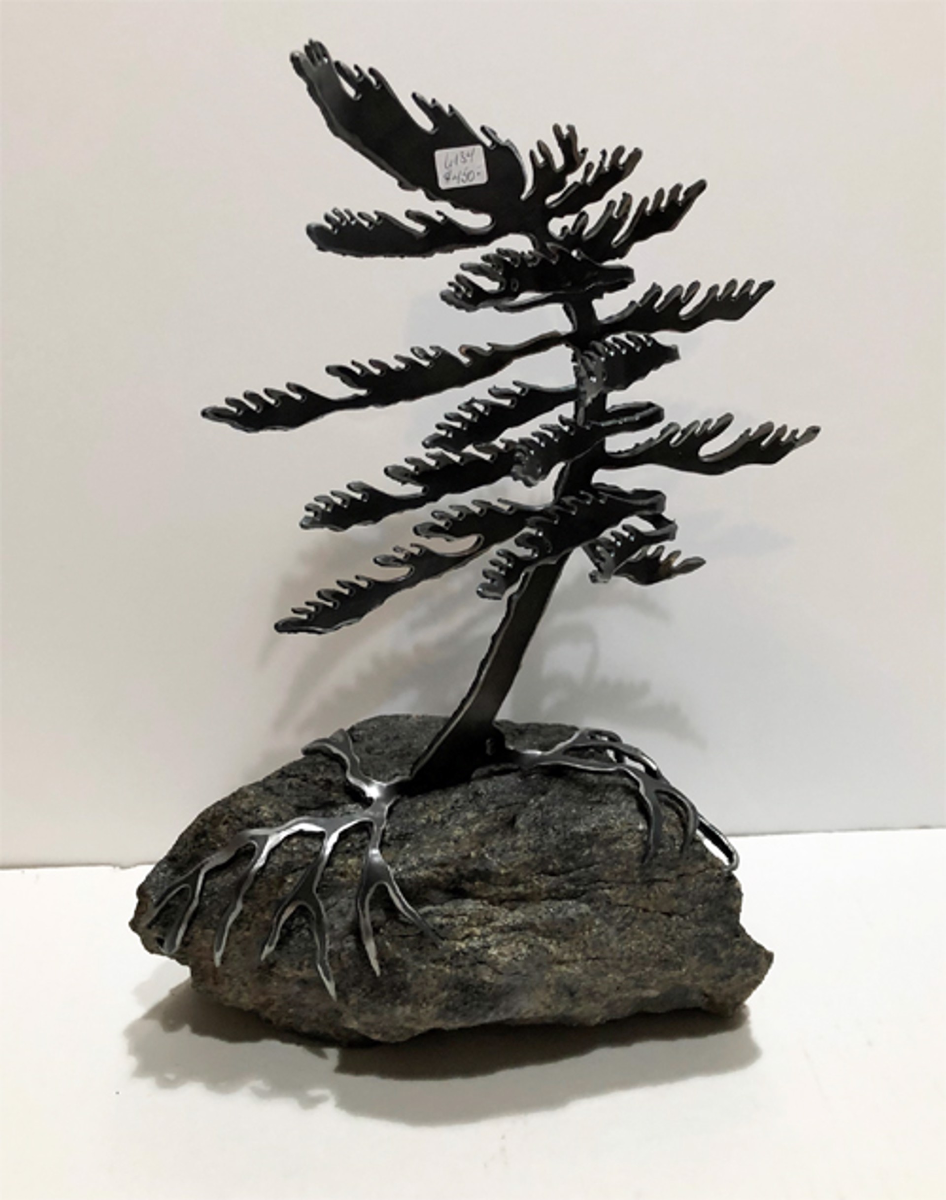 Windswept Pine 6134 by Cathy Mark