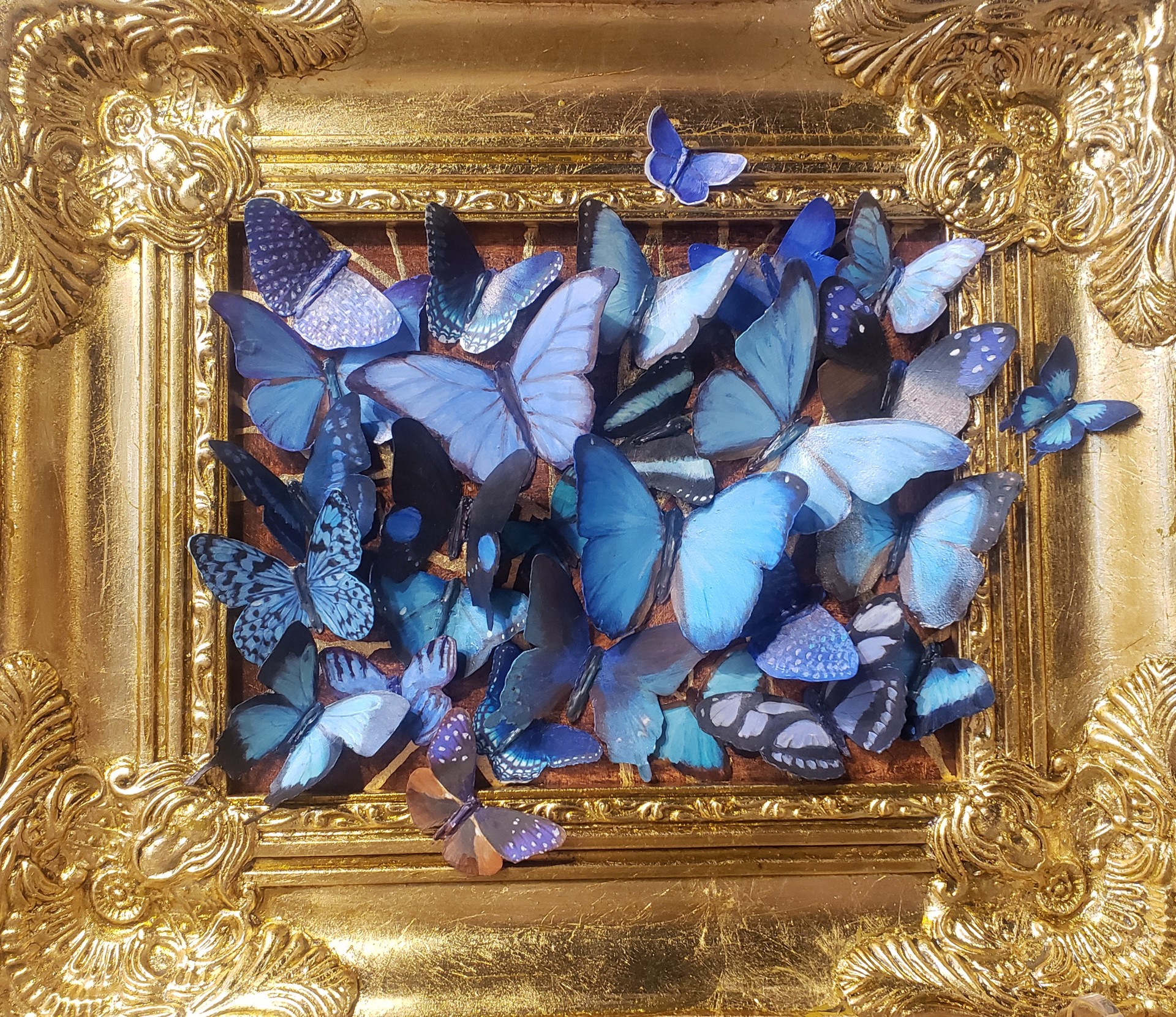Blue Nature Framed by Shelly Bartek