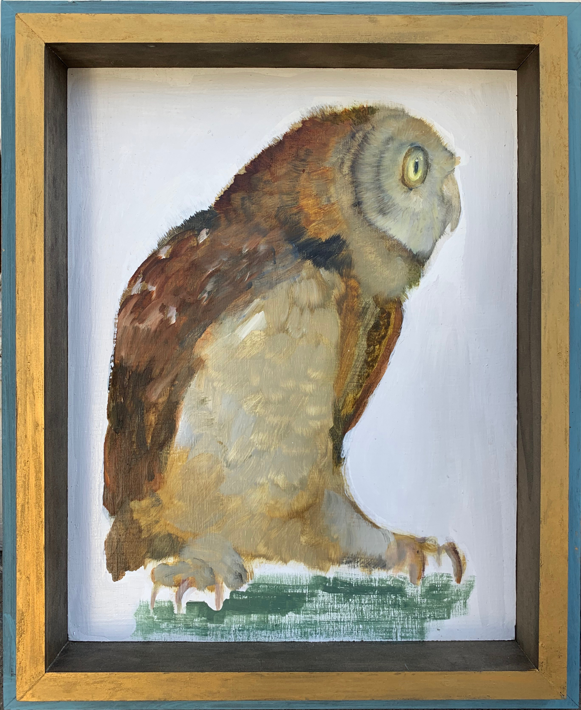 Bird Series - Owl by Diane Kilgore Condon