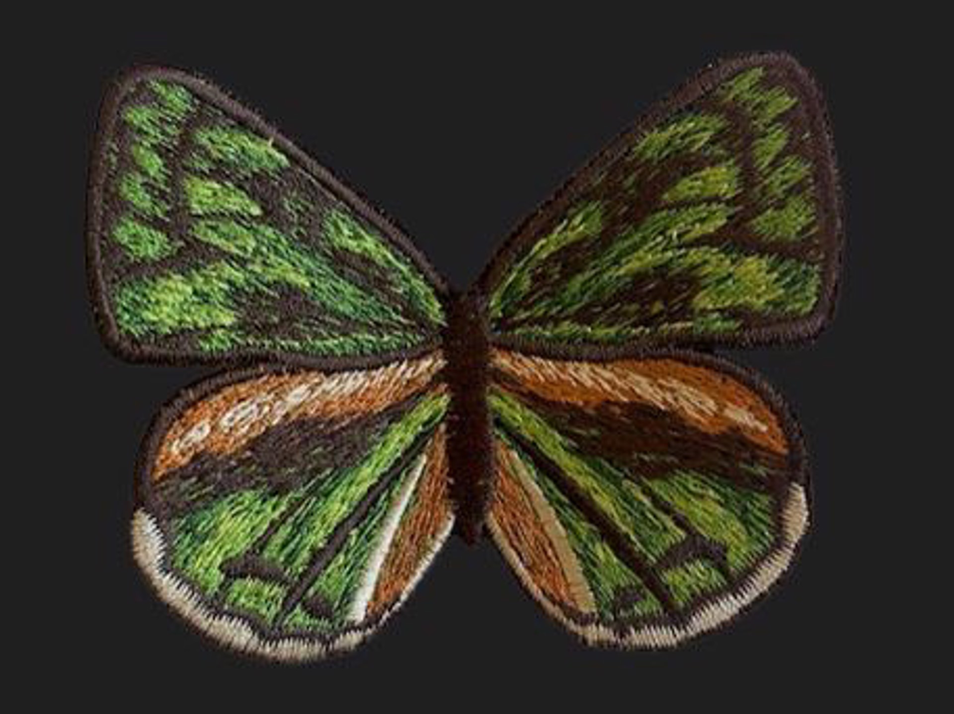 Green Butterfly 4" by Stephen Wilson