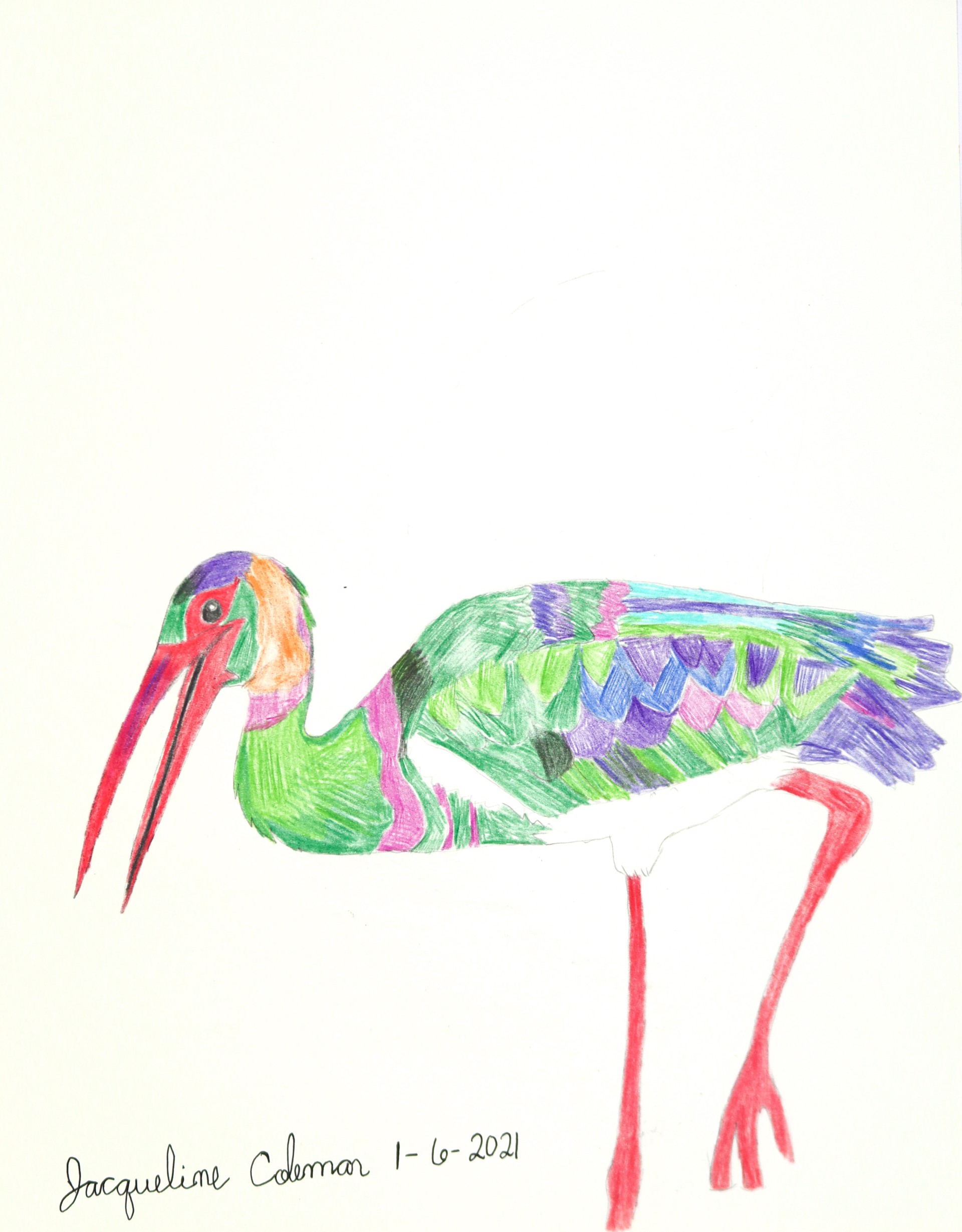 Bird 2 by Jacqueline Coleman