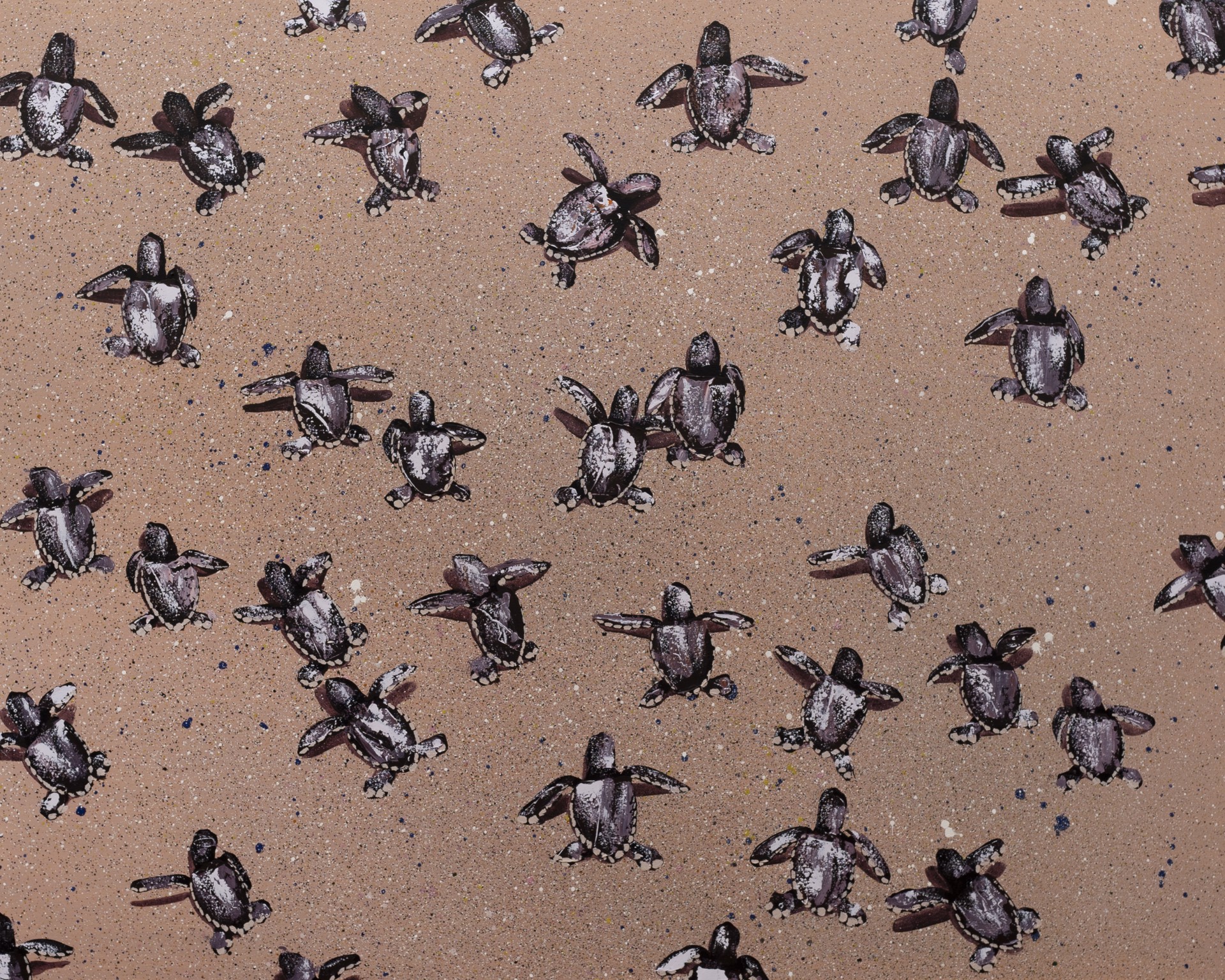 Mauve Sea Turtles on Salmon Sprinkles by Josh Brown