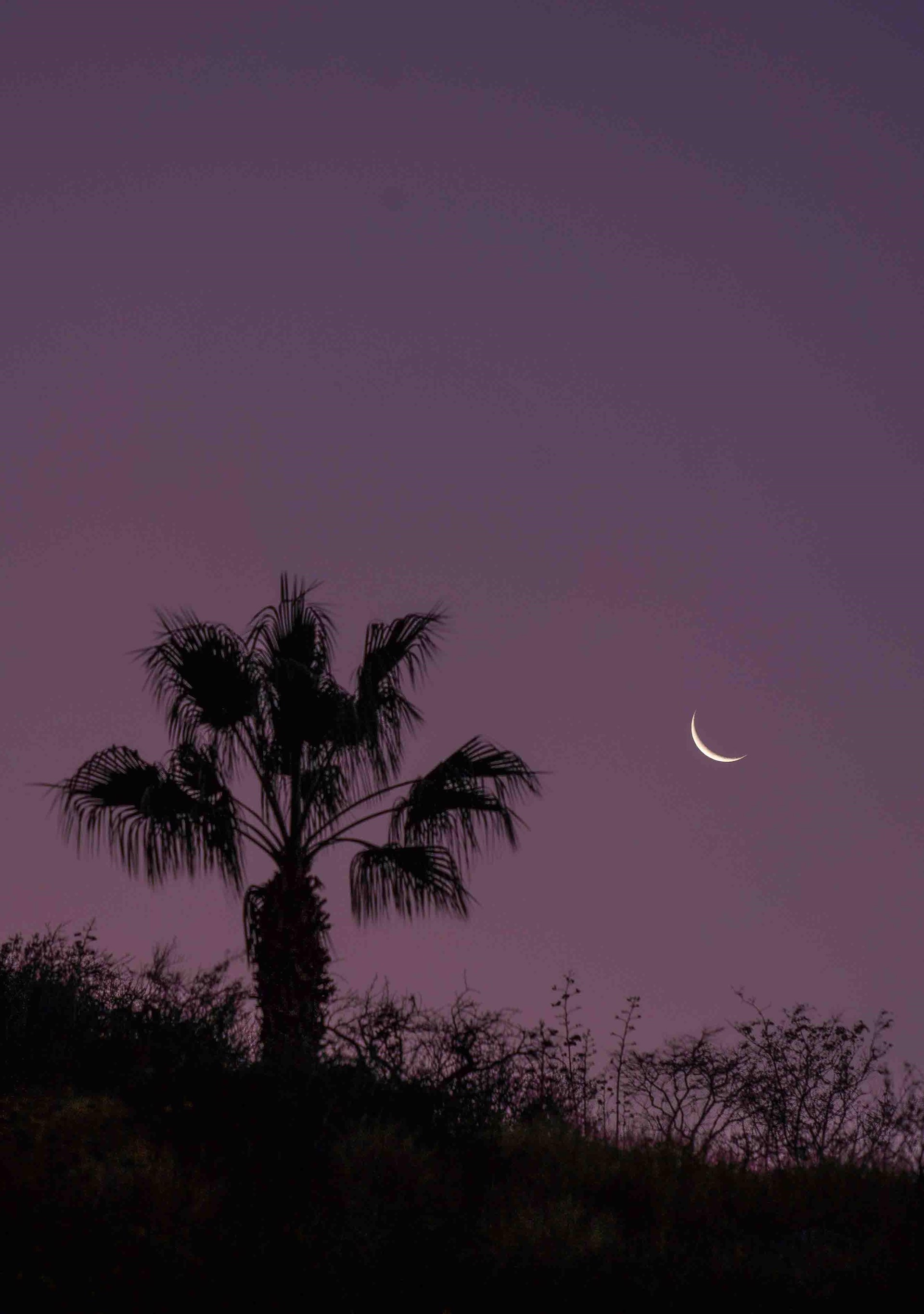 Moonset, Baja, California by Charles Porter