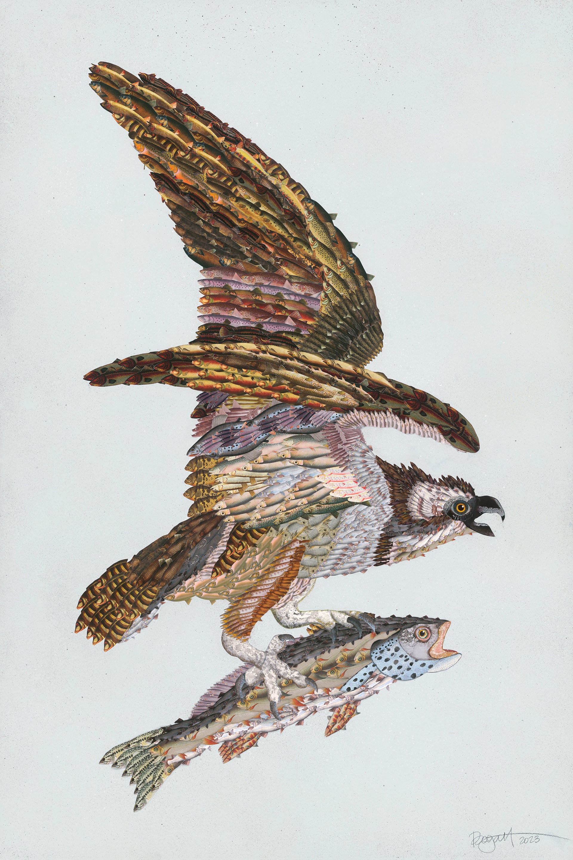 Osprey with Fish by Brenda Bogart
