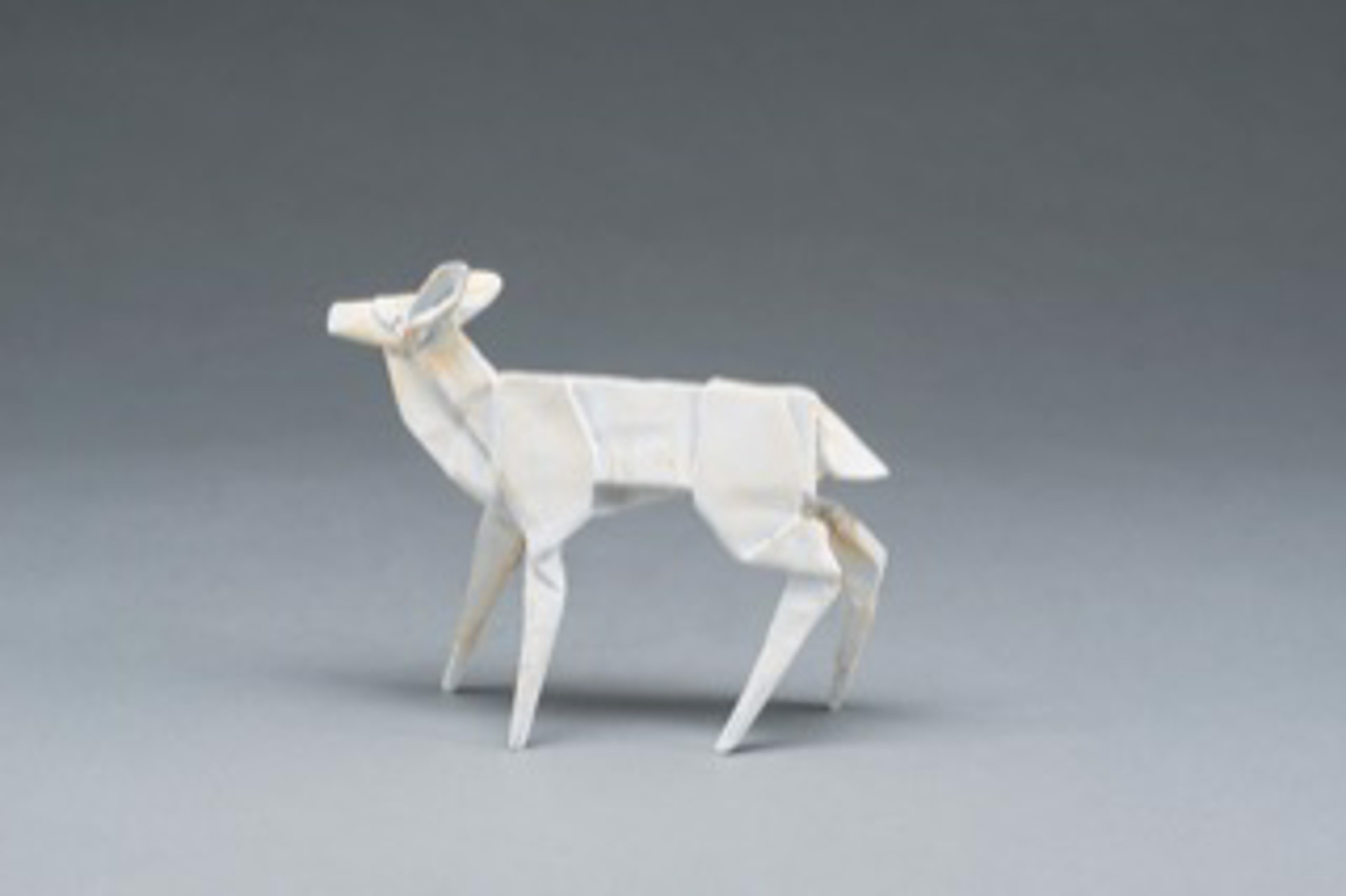 Ghost Fawn (collaboration with Robert Lang) by KEVIN BOX
