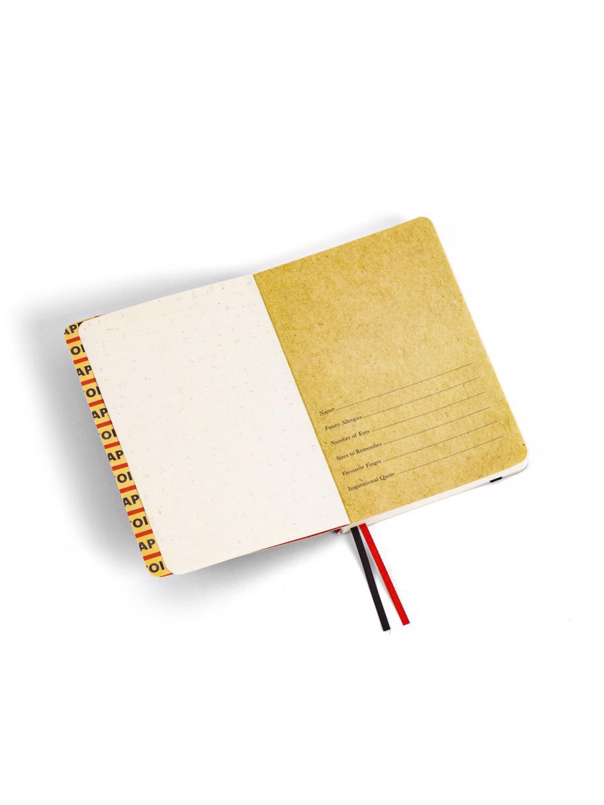 Notebook Medium Spaghetti