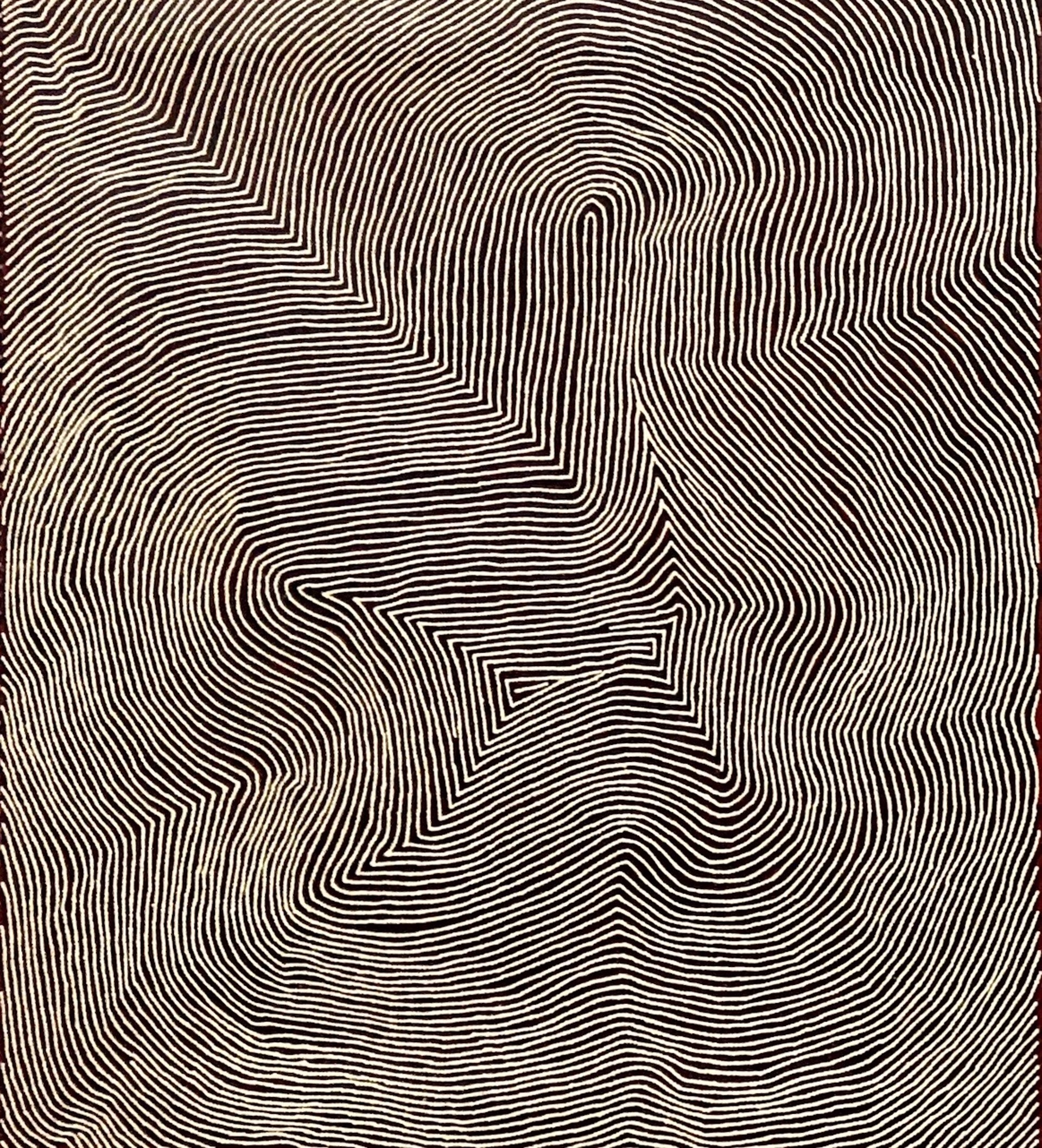 Lake MacKay by Warlimpirrnga Tjapaltjarri | Wentworth Galleries