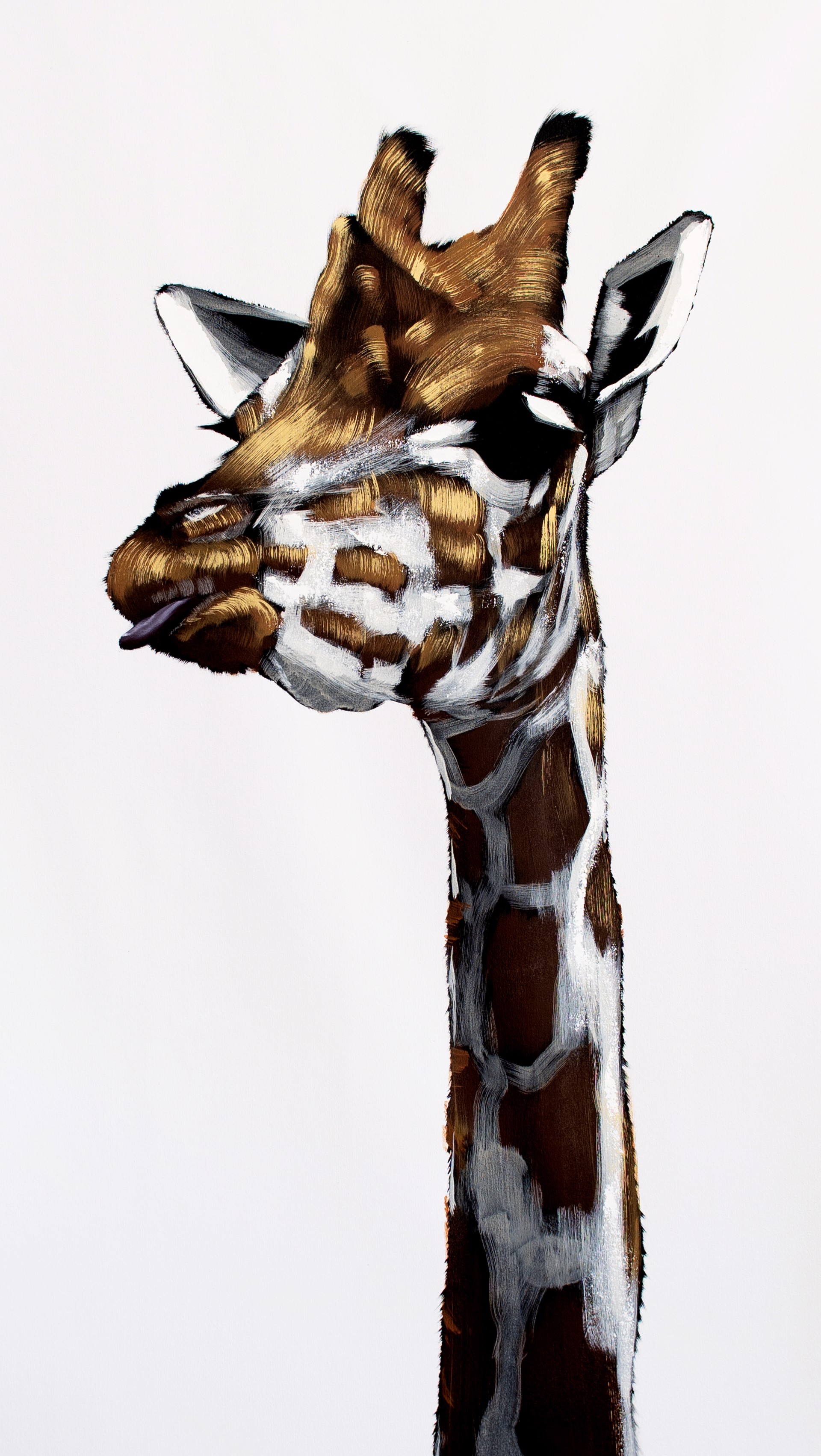 Giraffe Tongue Out on White by Josh Brown
