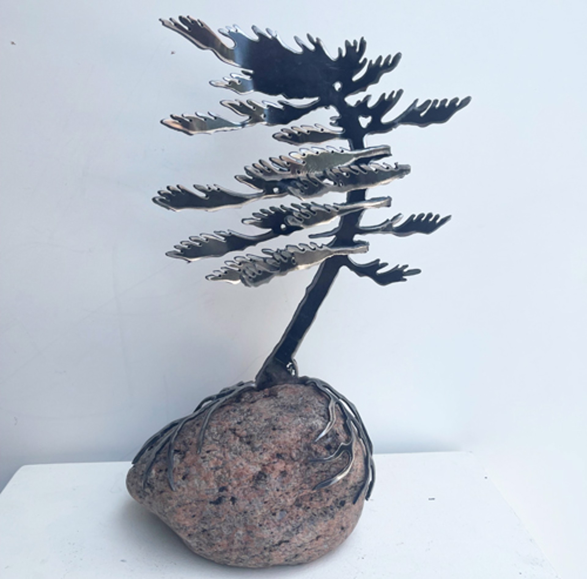 Windswept Pine 659761 by Cathy Mark