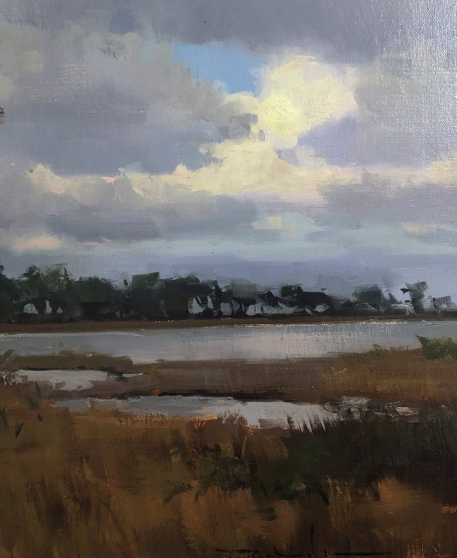 Afternoon On The Marsh by James Richards, AIS Master