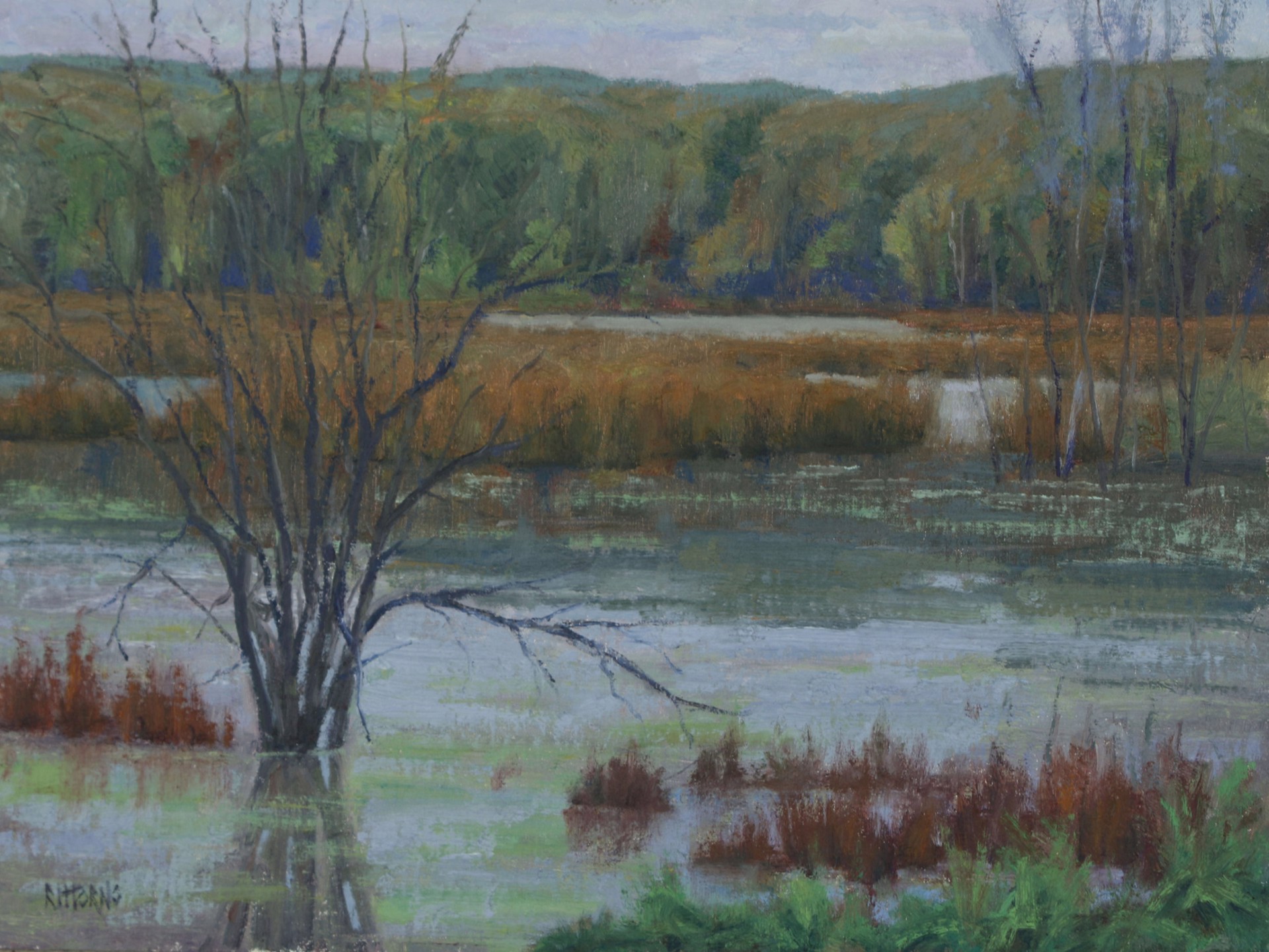 Fall on the Marsh by Mark Rittorno