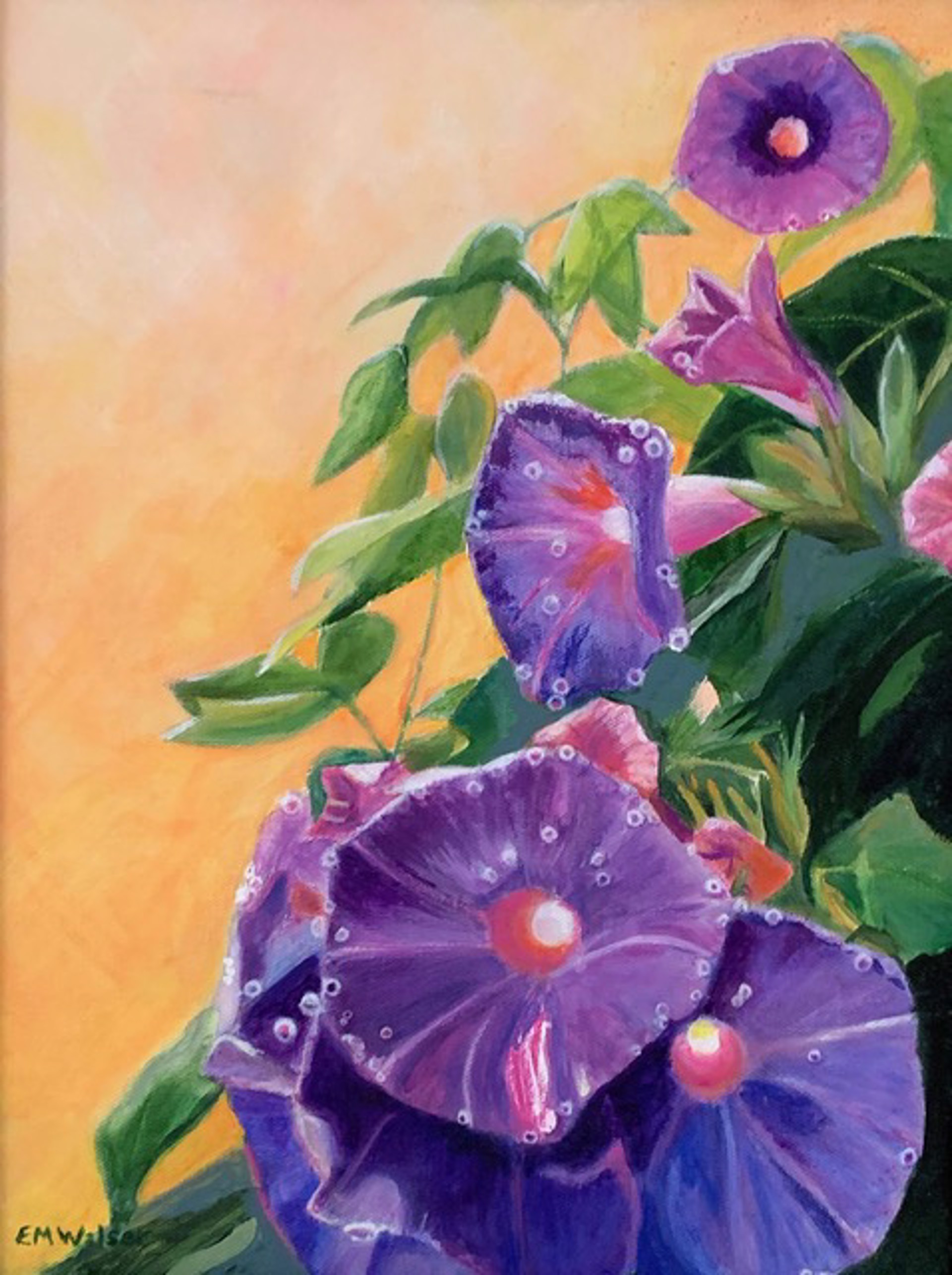 Morning Glory by Betty Walser