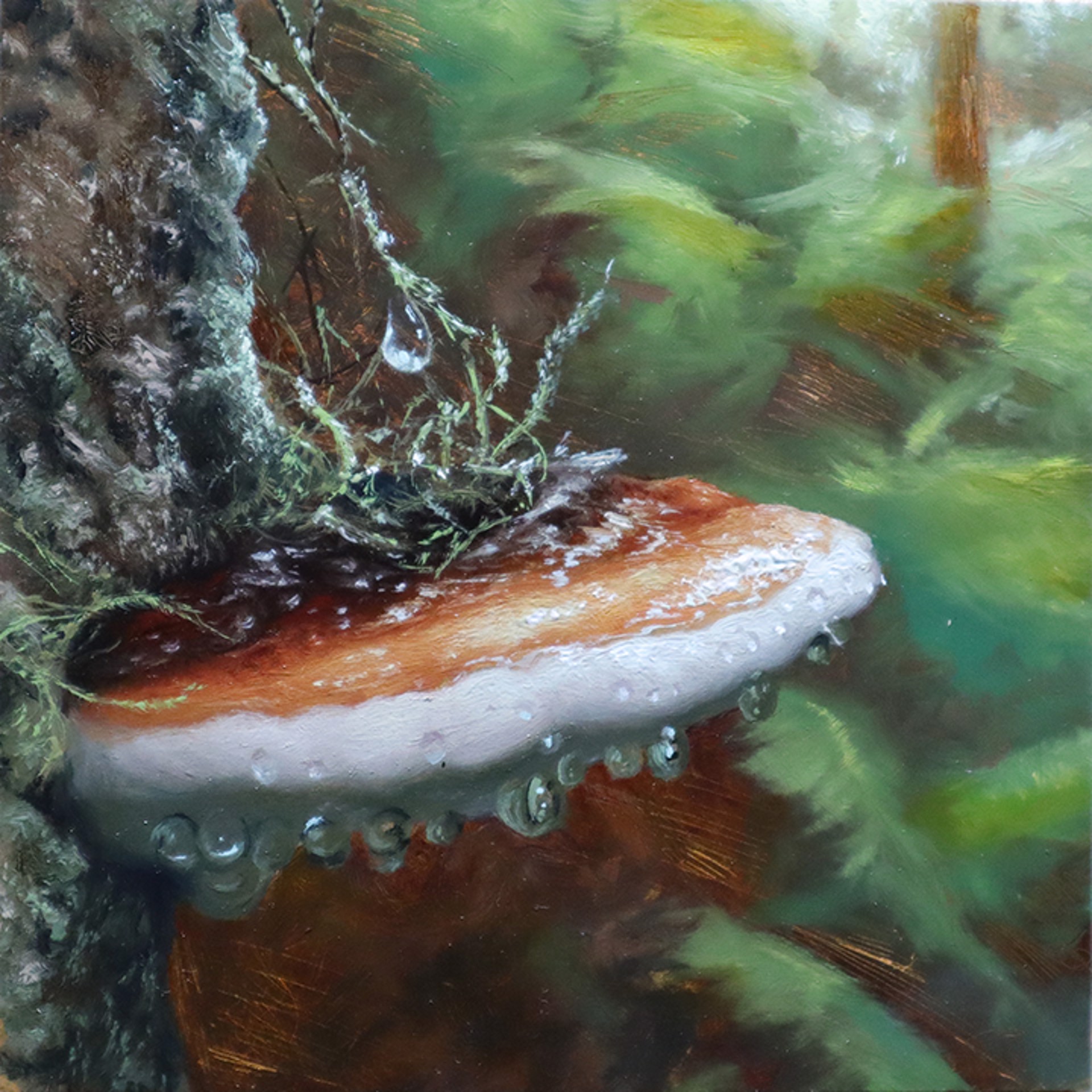 Polypore by Christopher Remmers