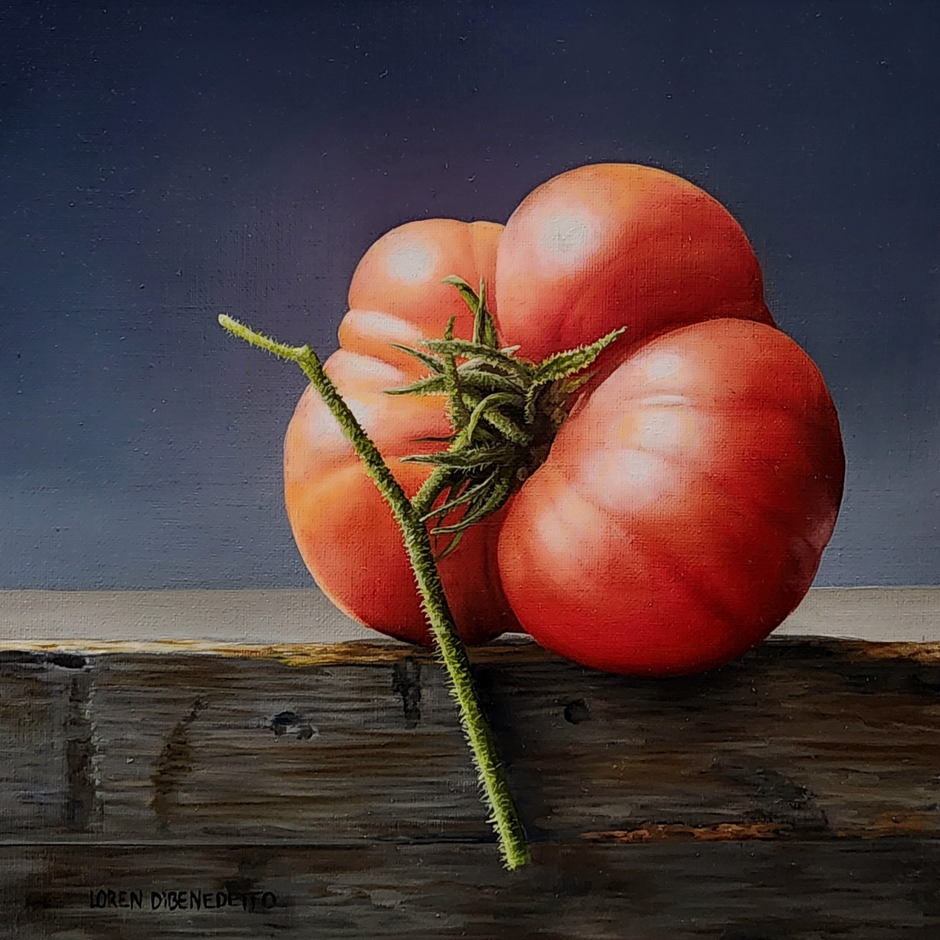 Lone Tomato by Loren DiBenedetto