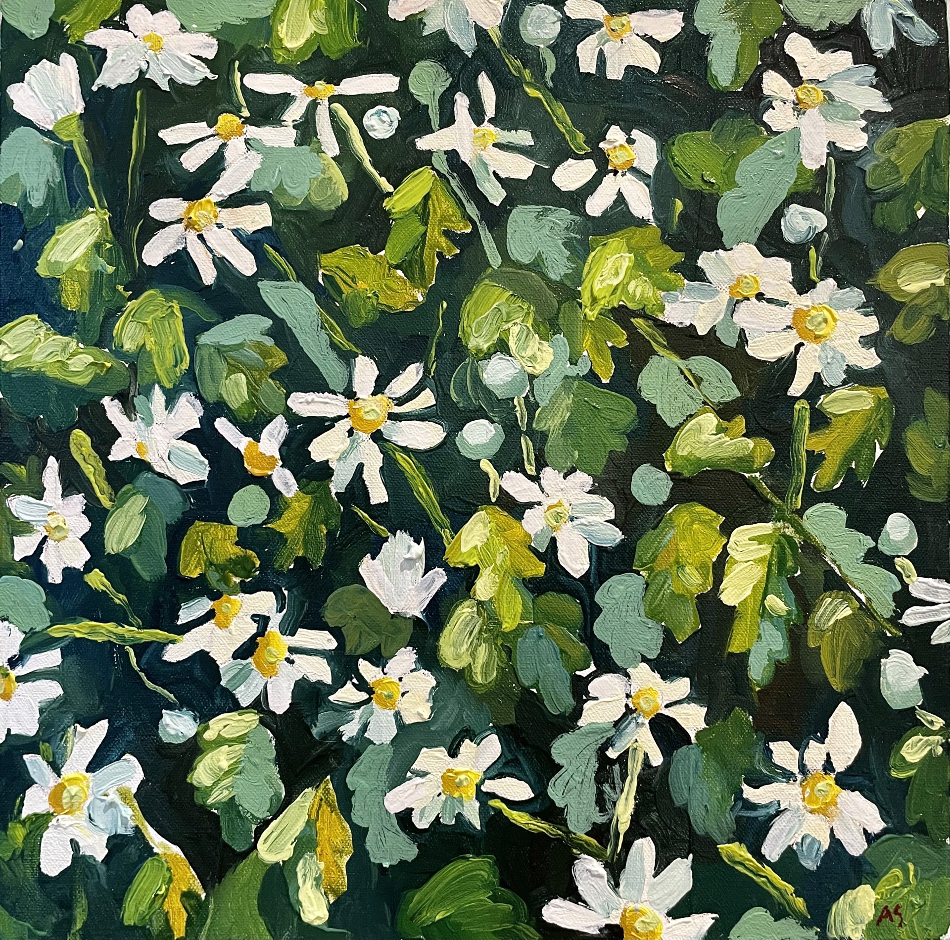 Daisies I by Avery Schuster