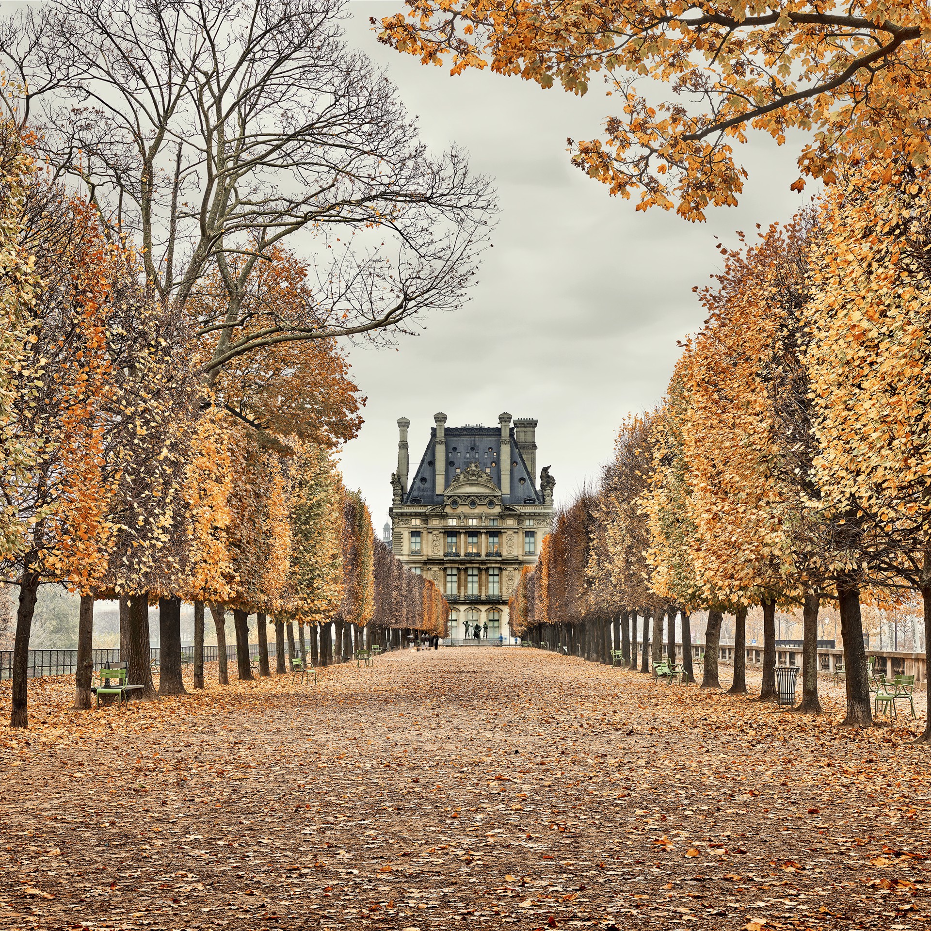 Red Leaves Paris by David Burdeny