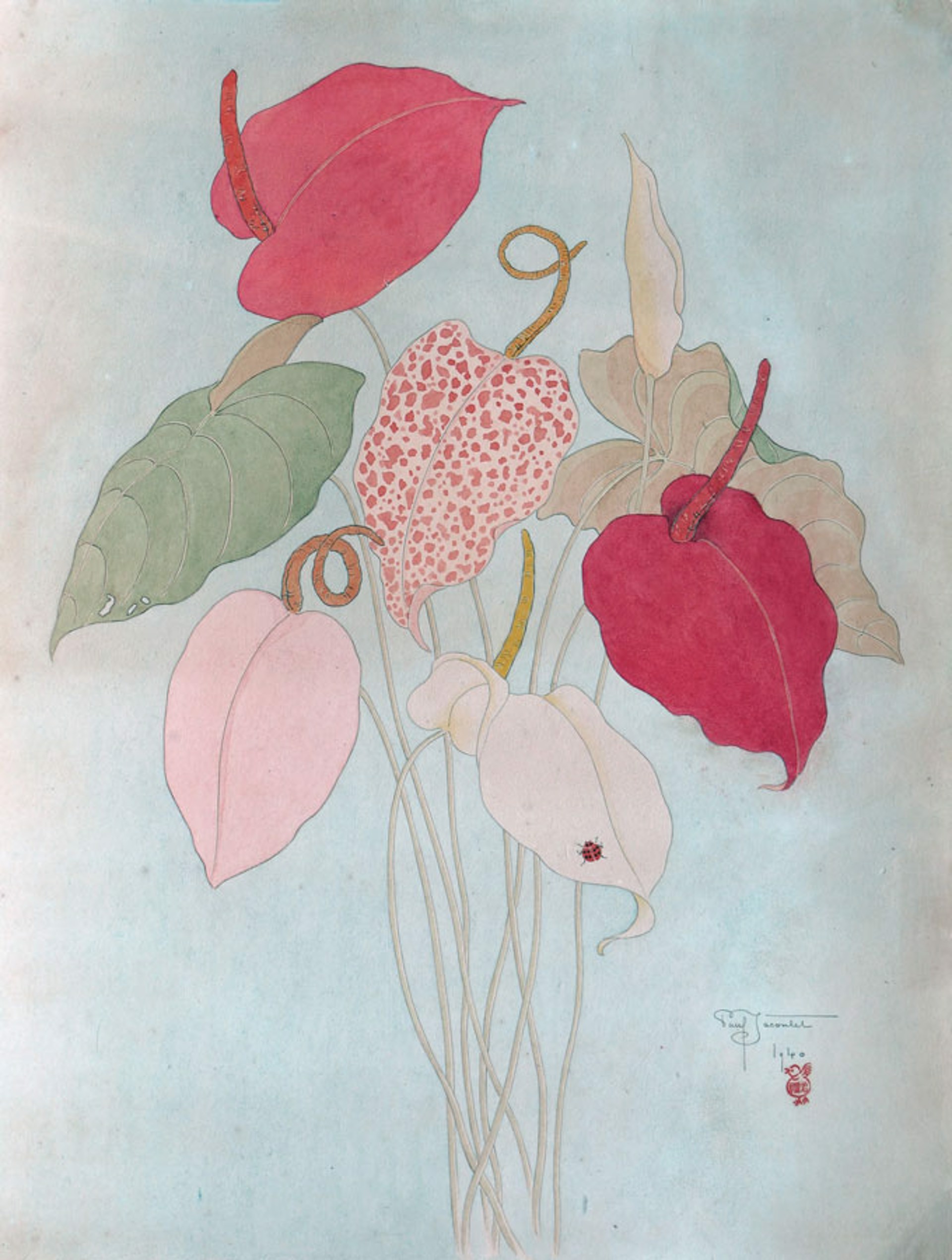 Species of Anthurium by Paul Jacoulet