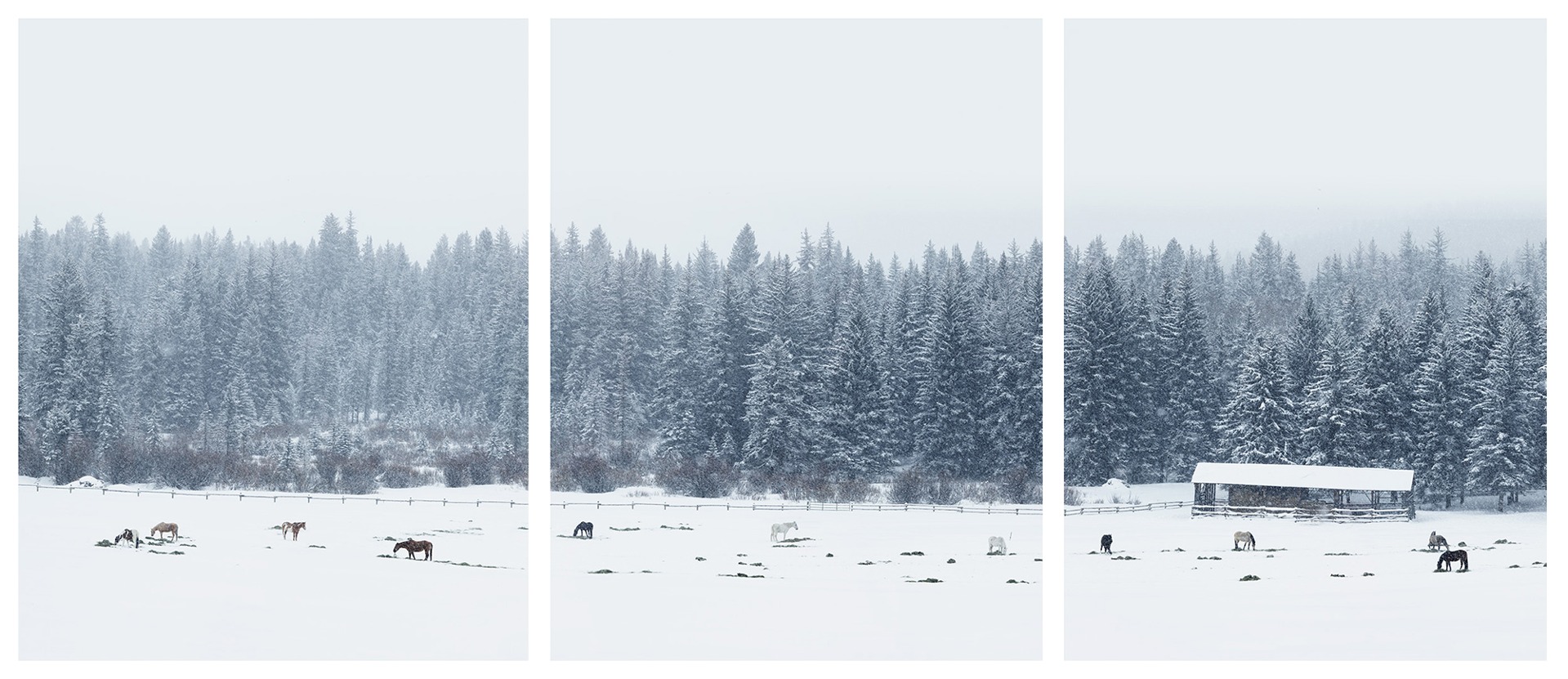Untitled #2, Jackson Hole, Triptych by Jonathan Smith