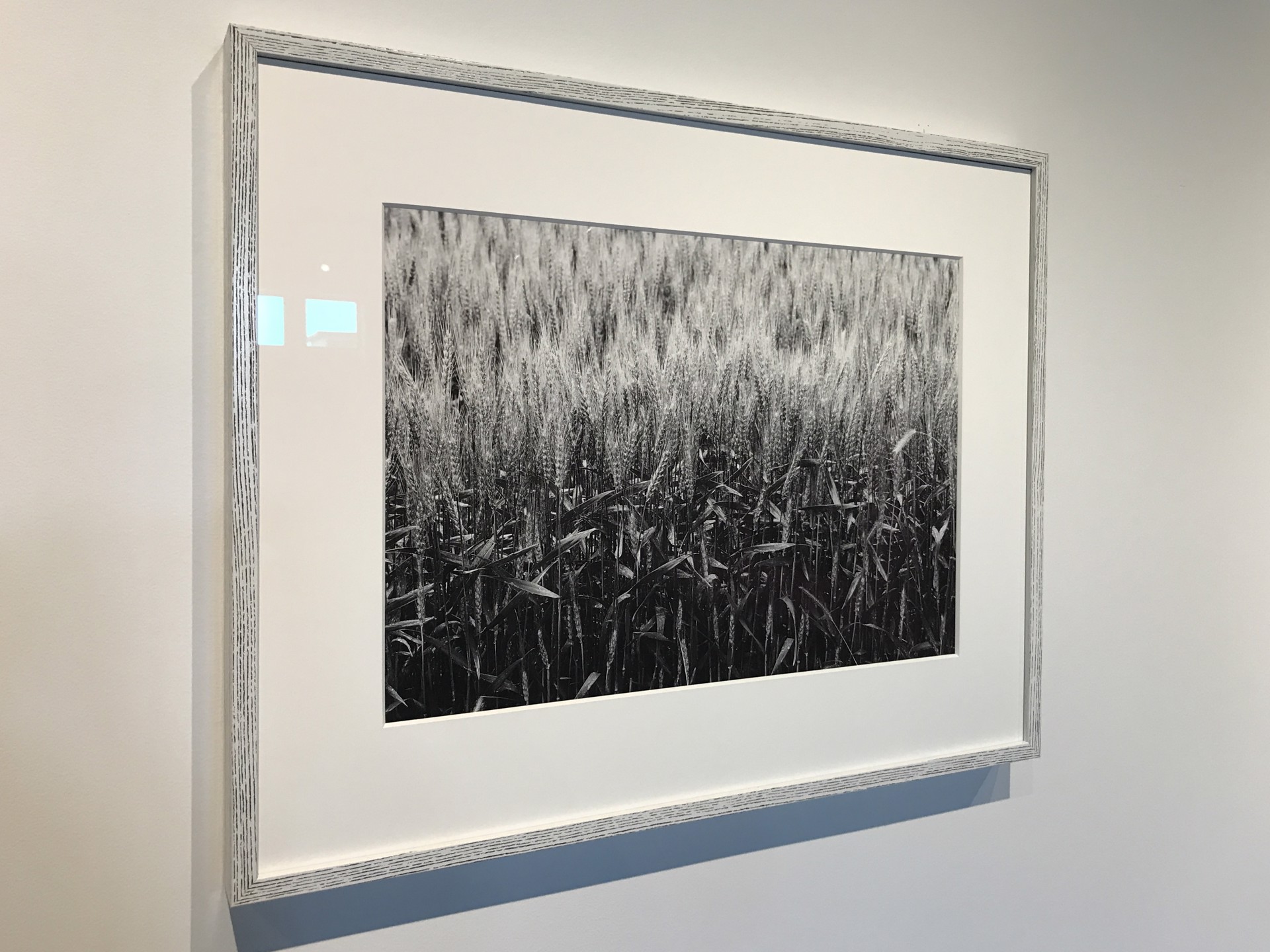 Winter Wheat by John P. Moench