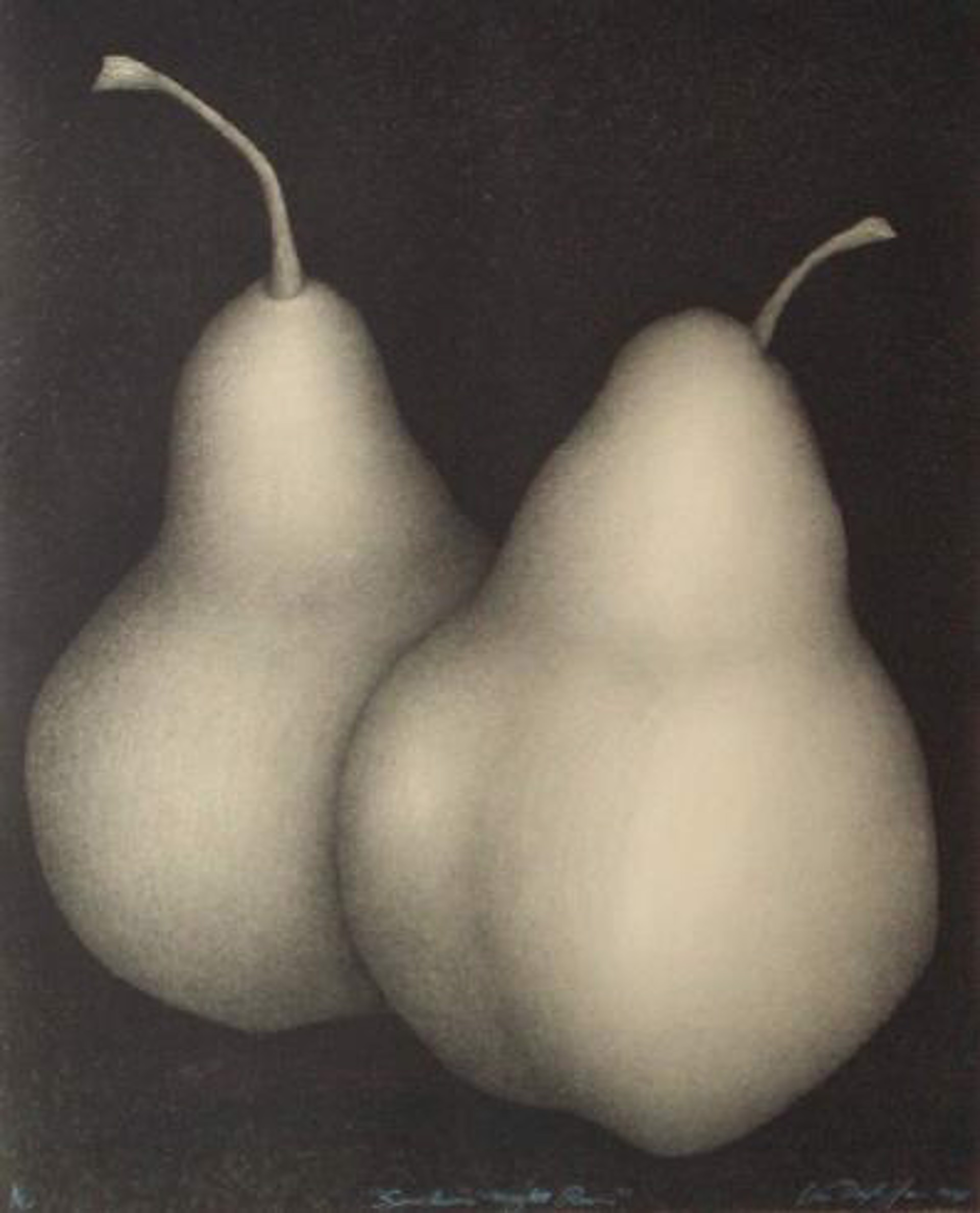 Sinclairs Night Pears by Van Dyke Jones