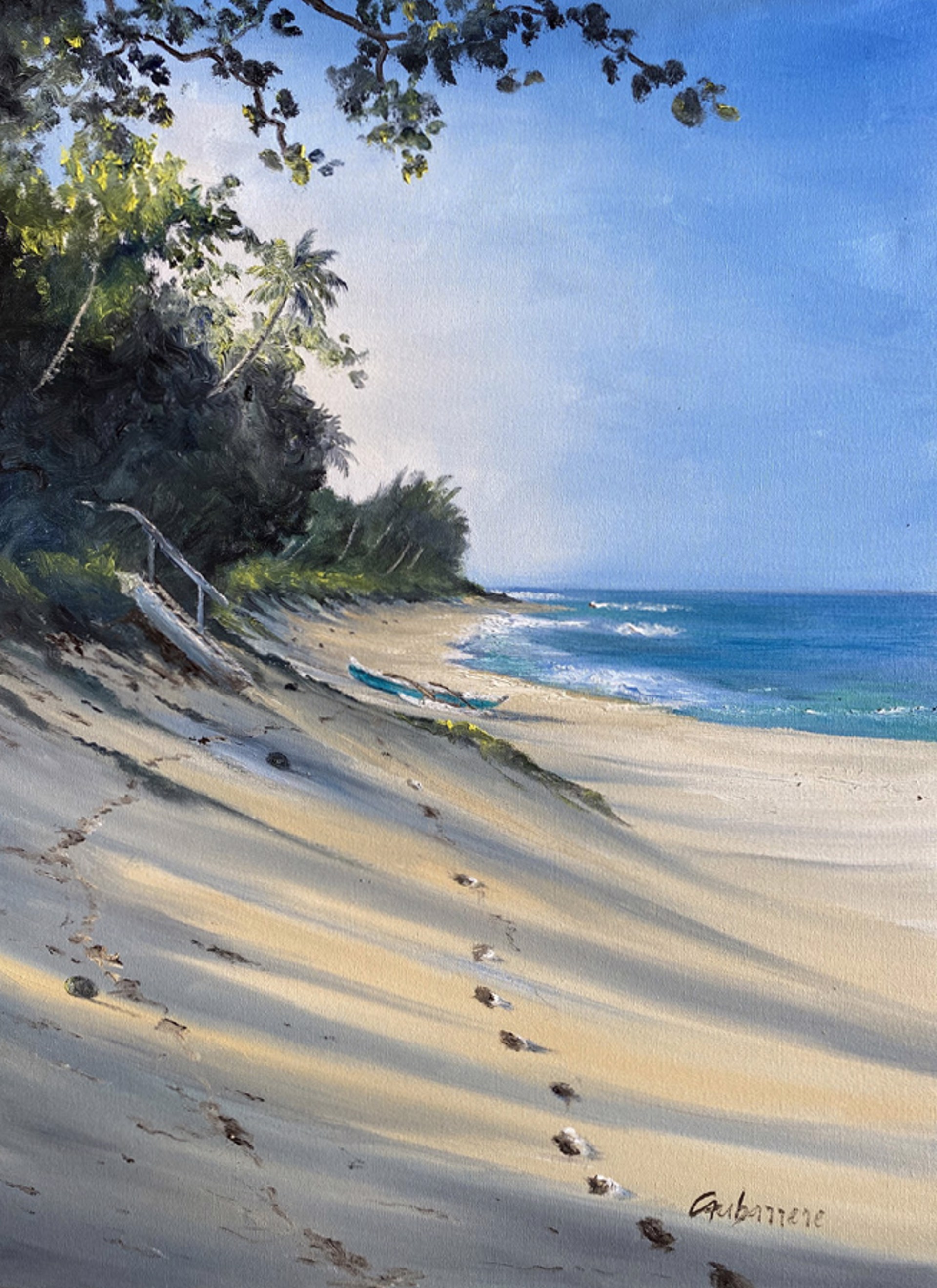 Rockyʻs Canoe by Nicolas Caubarrere