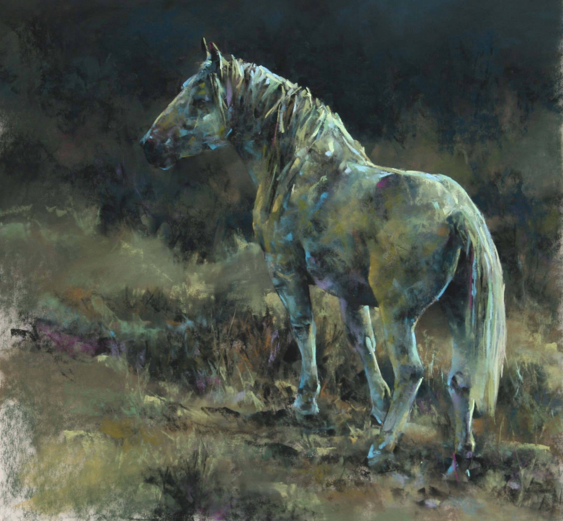 The Colors of the Night by Terry Donahue
