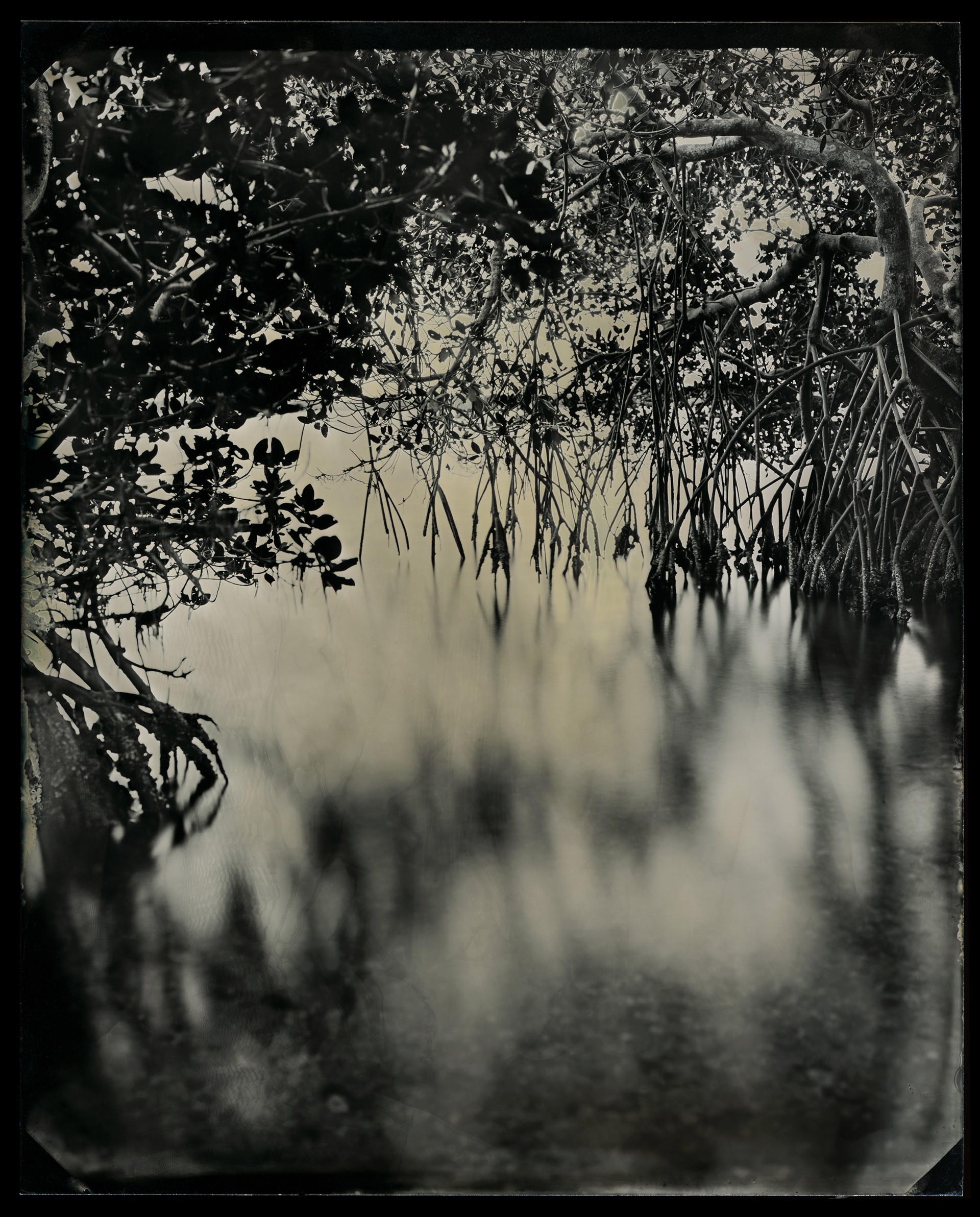 Sandy’s Trail, Cabbage Key, Florida by Montalvo & McCullers