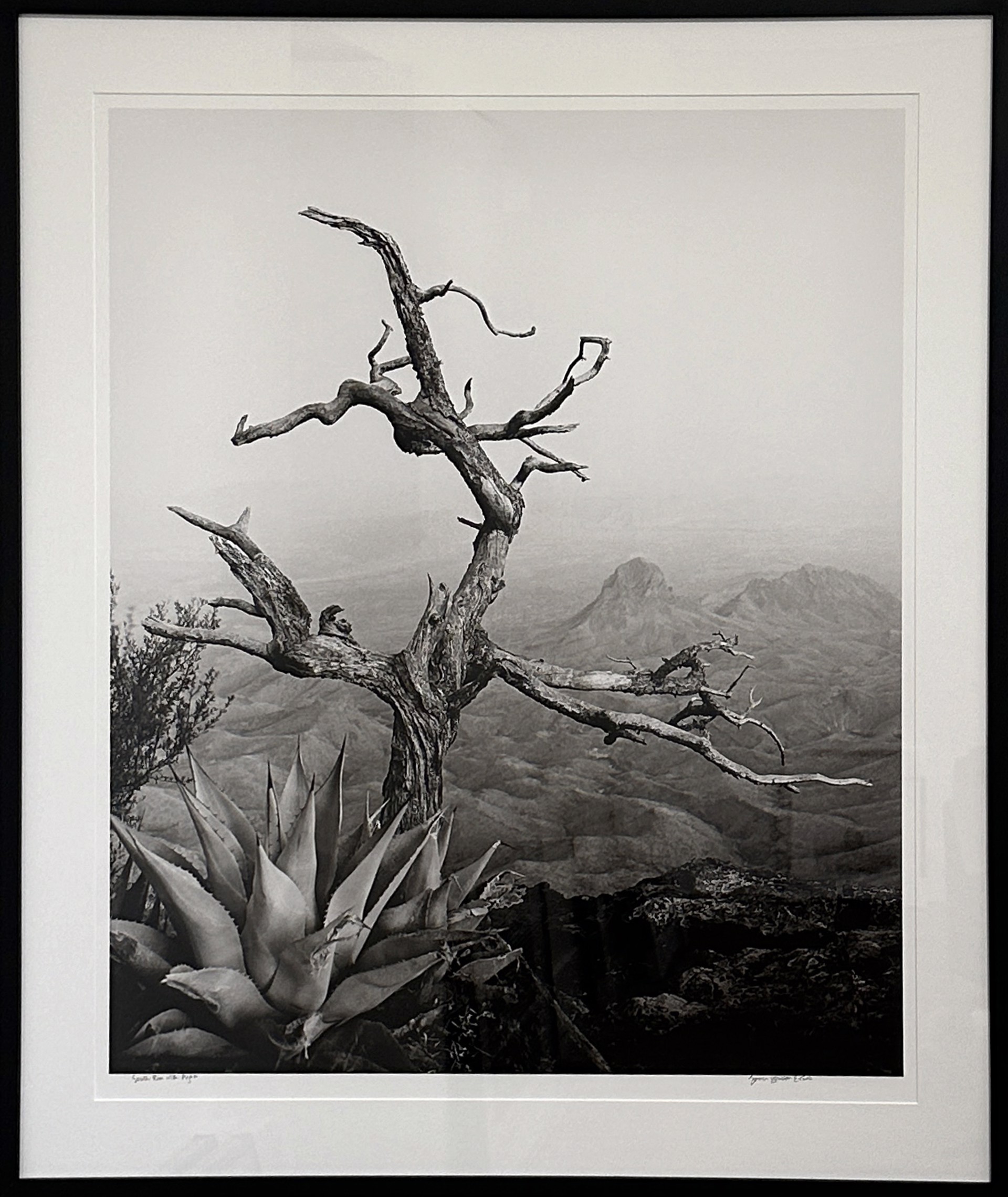 South Rim with Agave by James H. Evans