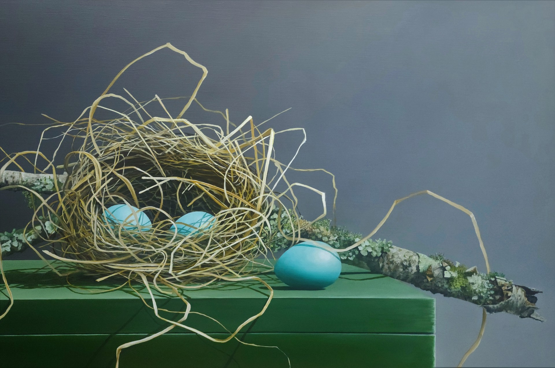 Nest with Eggs by Loren DiBenedetto, OPA