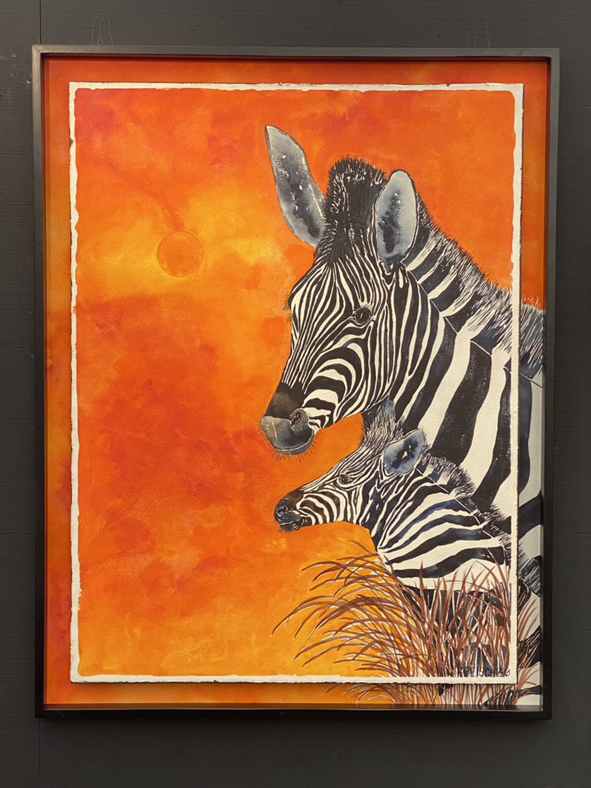 The Color of Zebra by Peter Freischlag