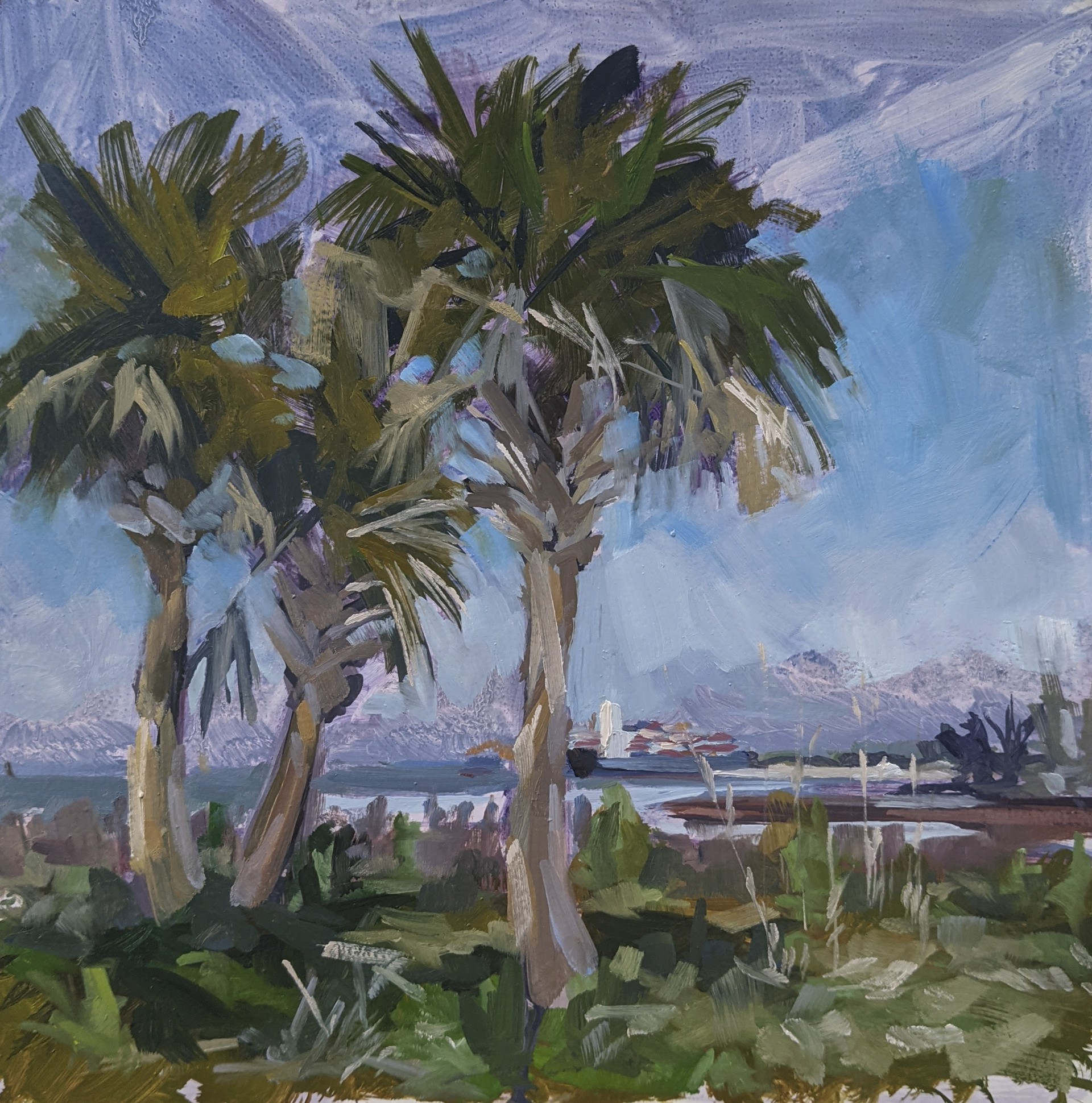 Battery Park Palms, Tybee Island by kip bradley