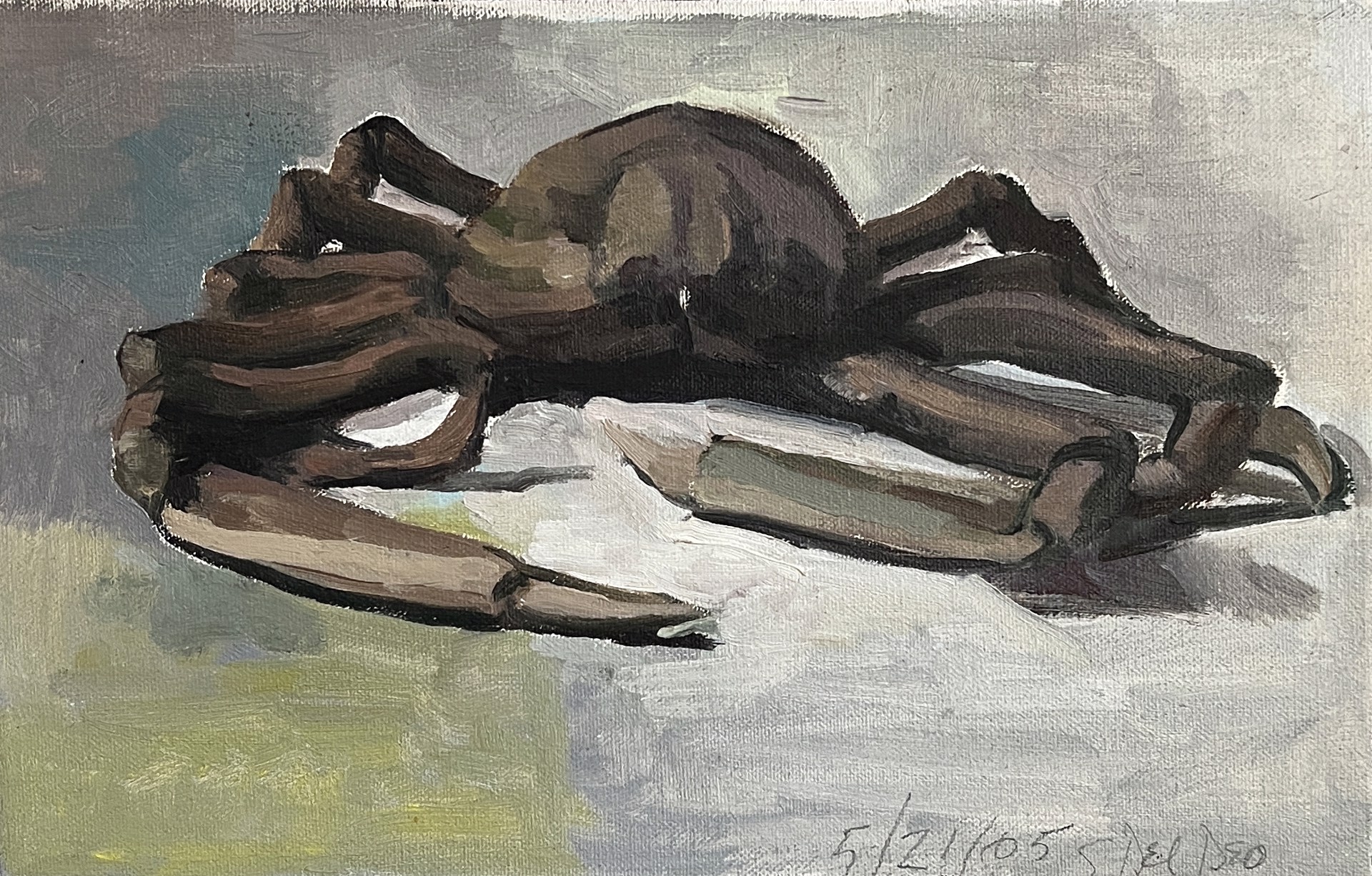Spider Crab by Salvatore Del Deo