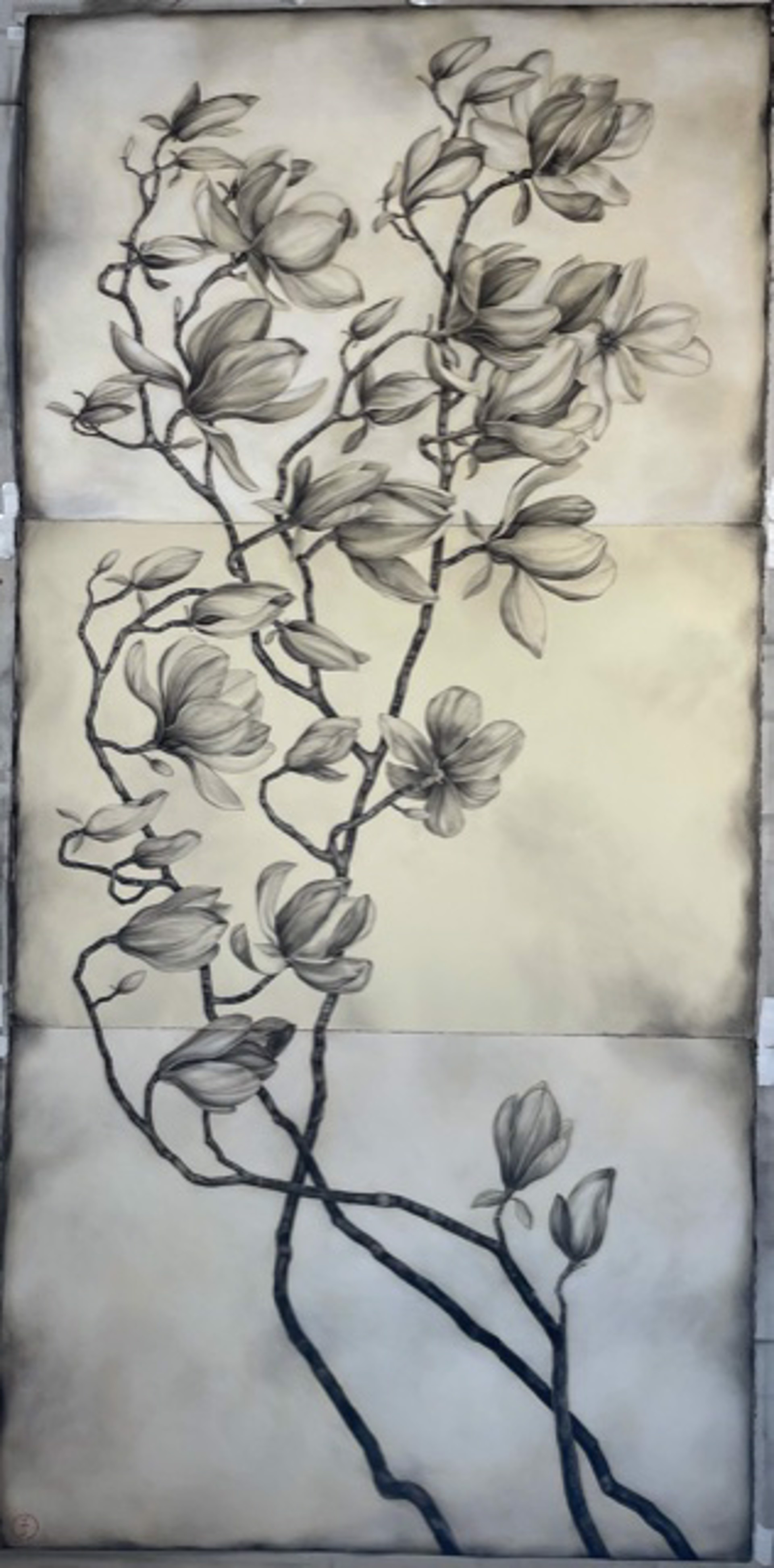 Magnolia Branch Triptych by Emily Farish