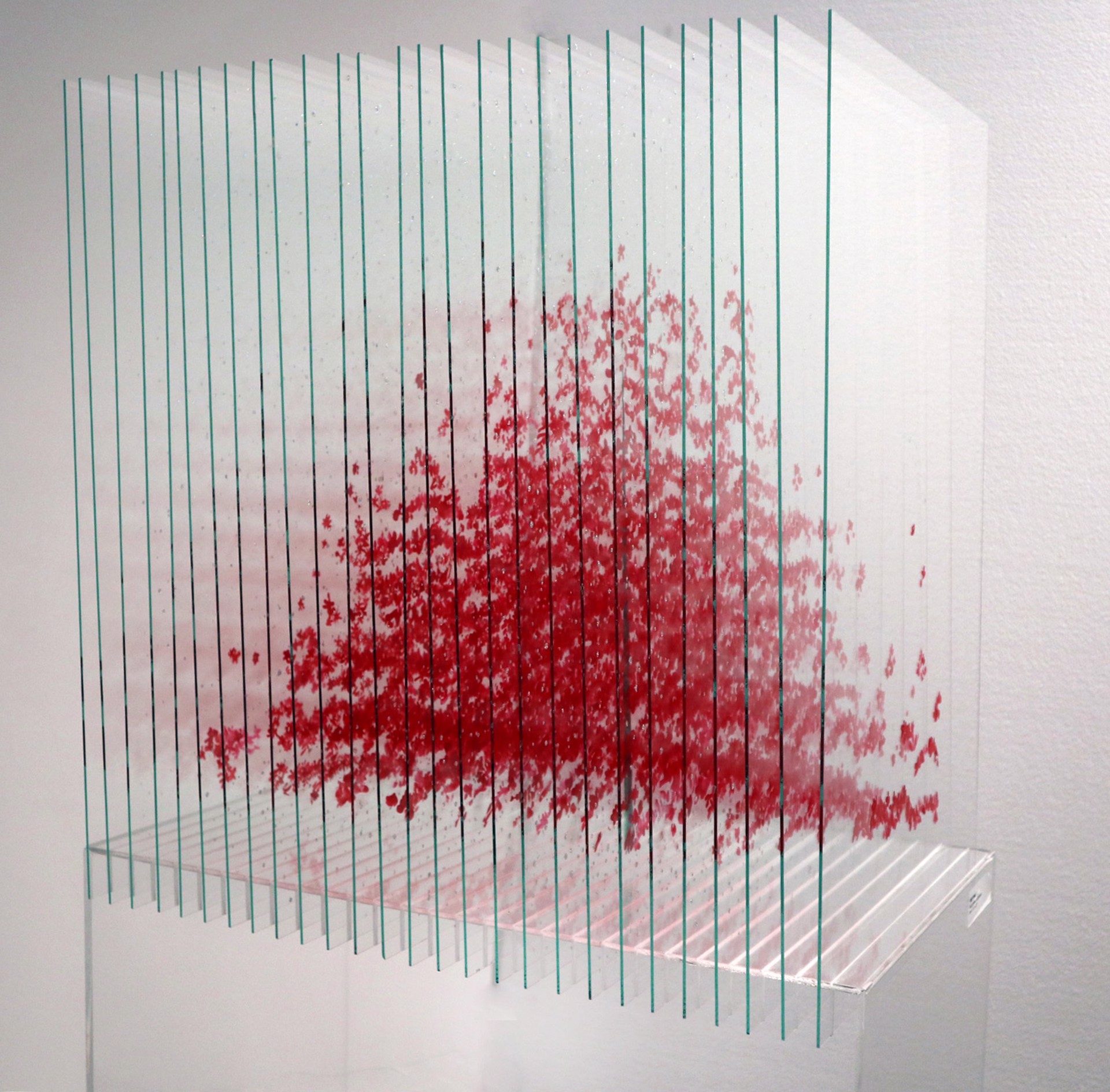 Red pine by Ardan Özmenoğlu