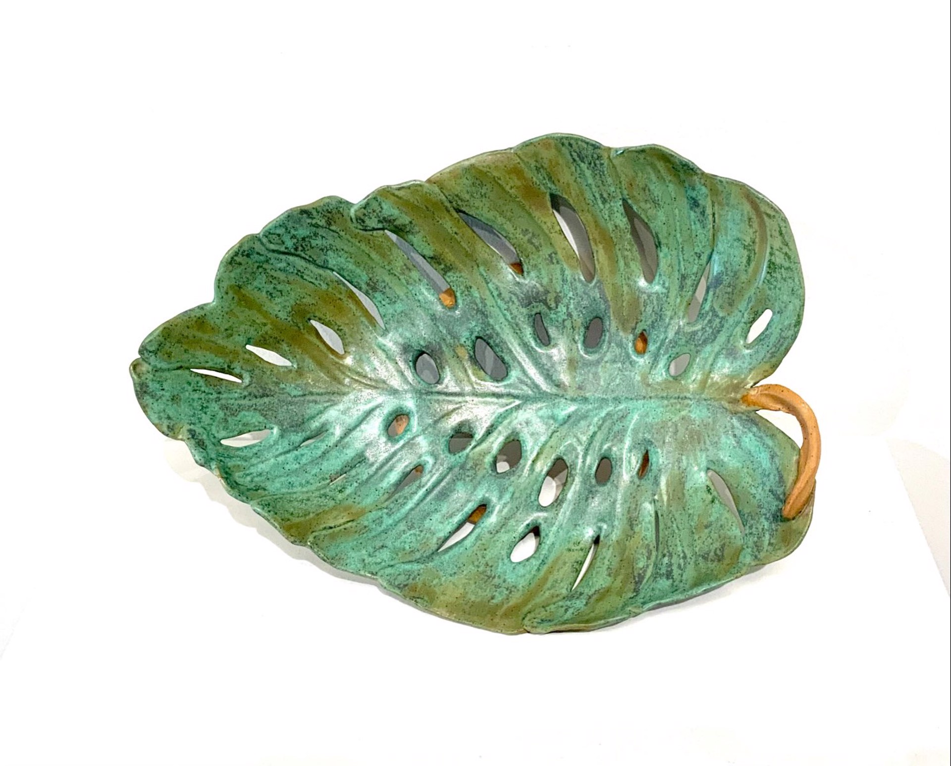 Philodendron Bowl by Janet Leazenby