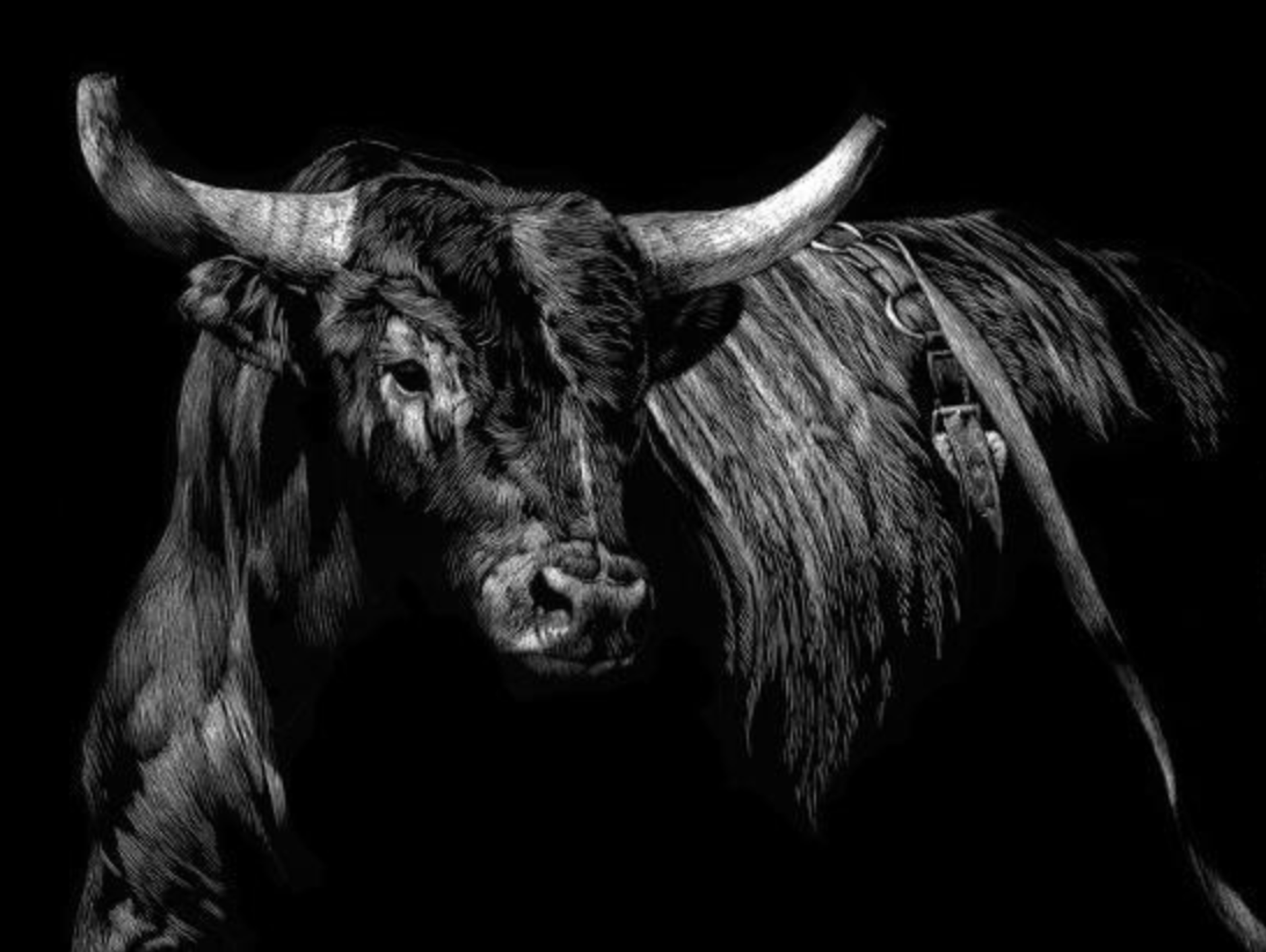 BRINDLE RODEO BULL by Julie Chapman