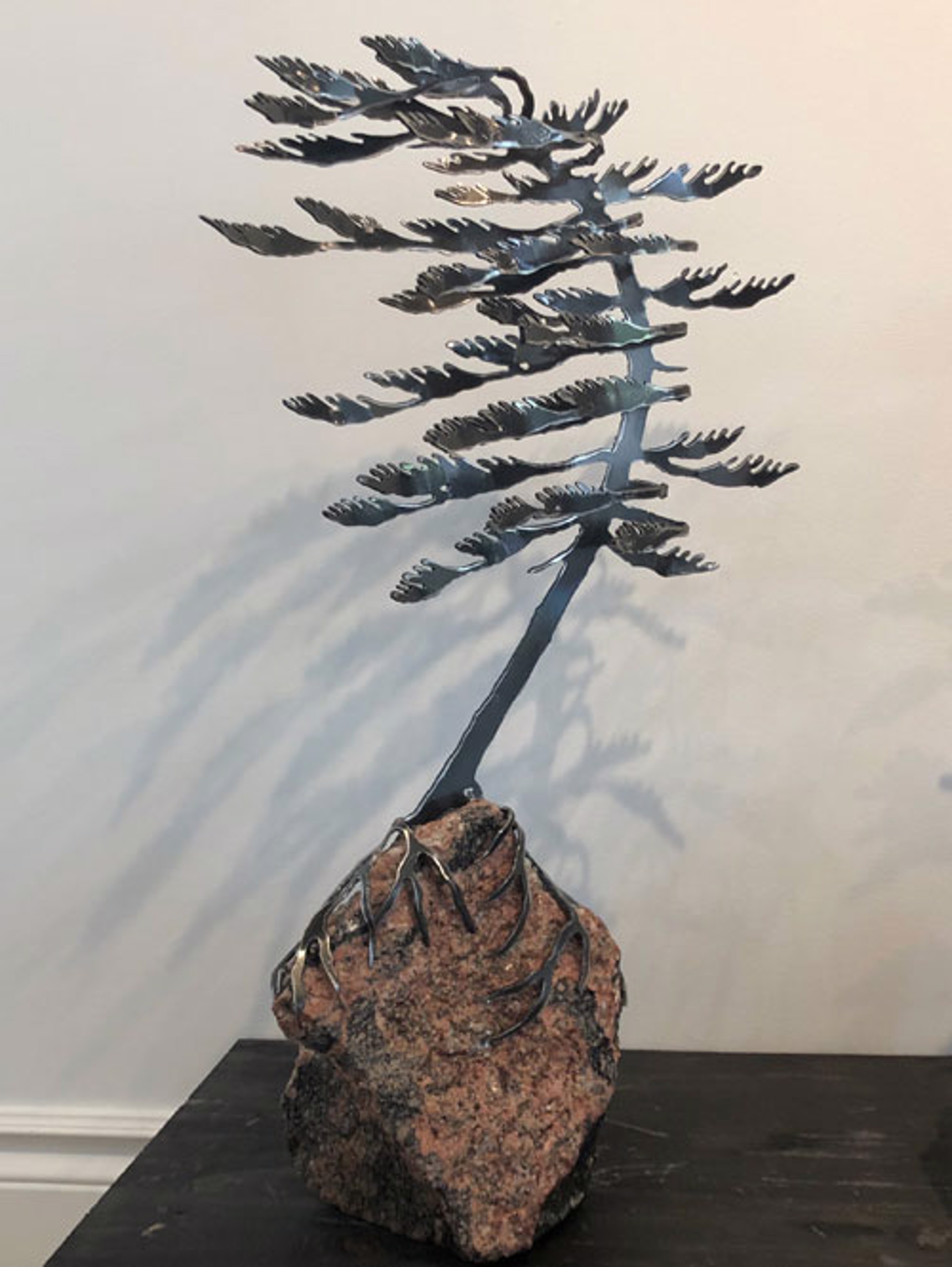 WindSwept Pine on Rock 6534 (189629) by Cathy Mark