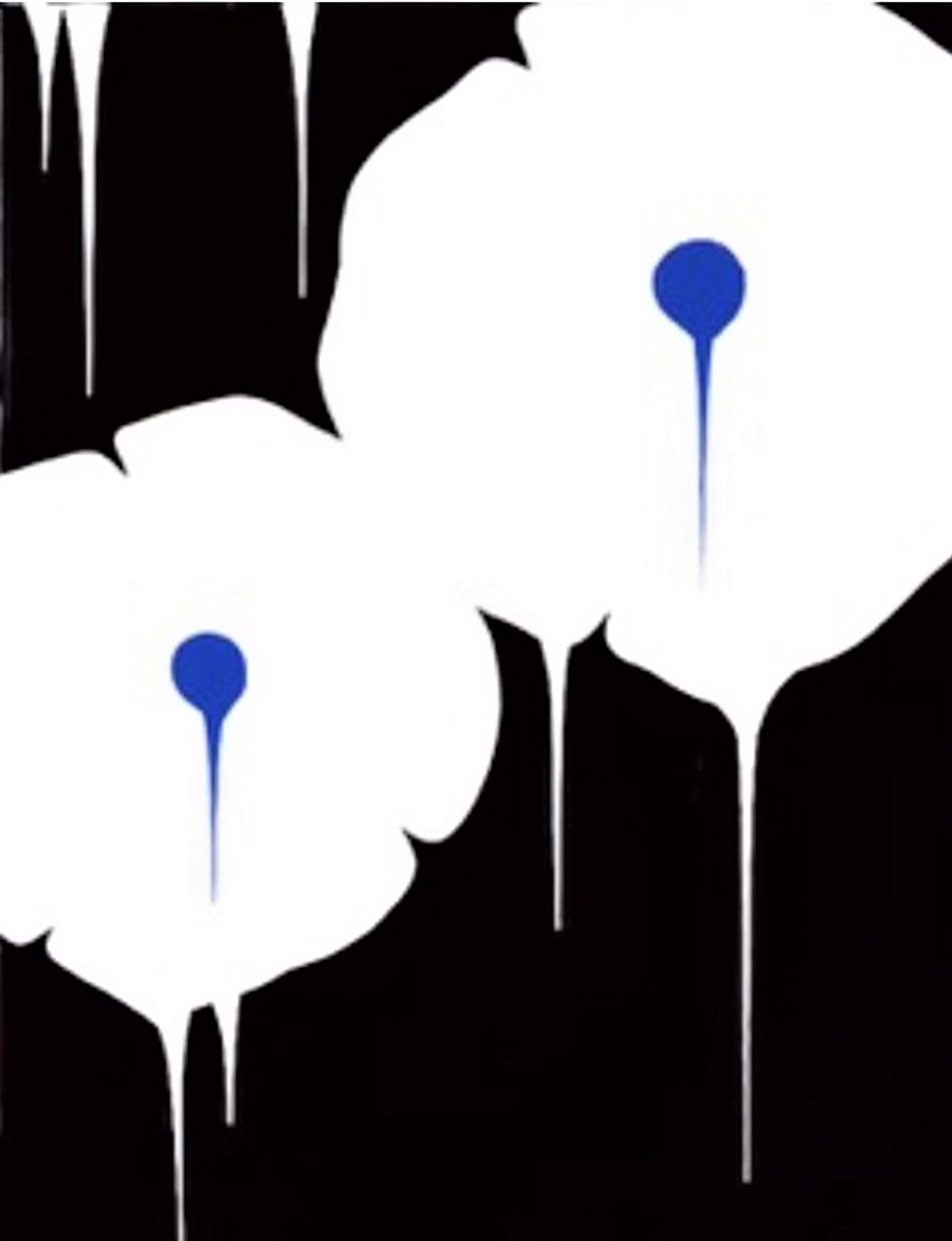 Two Flowers, Black back with White and Blue by Hamilton Aguiar