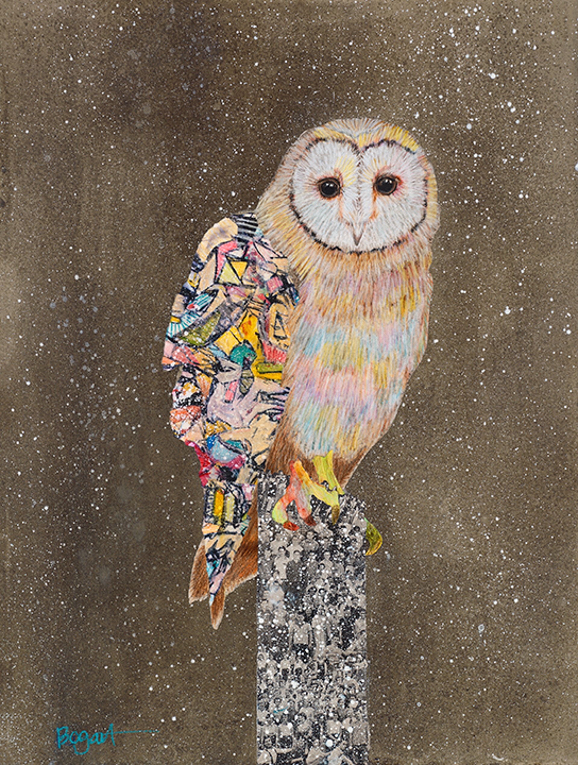 Barn Owl on a Snowy Night 3 by Brenda Bogart - Prints