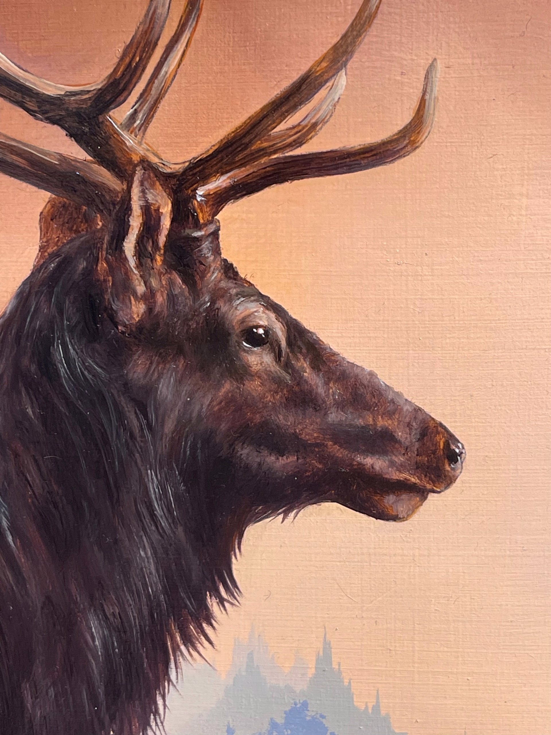 Bull Elk by Brian Mashburn