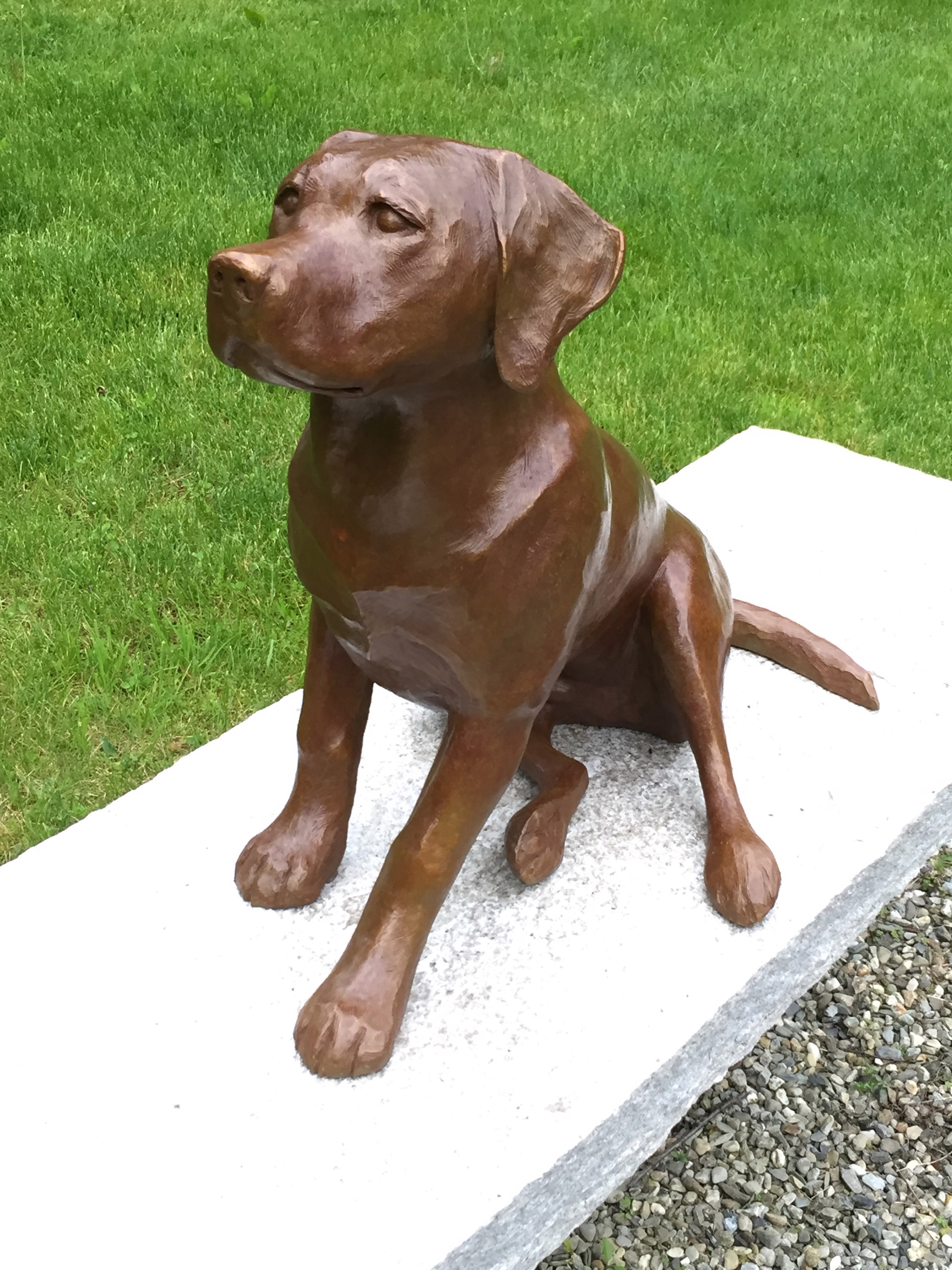 Seated Puppy, "Yes, I Know" by Dan Murray