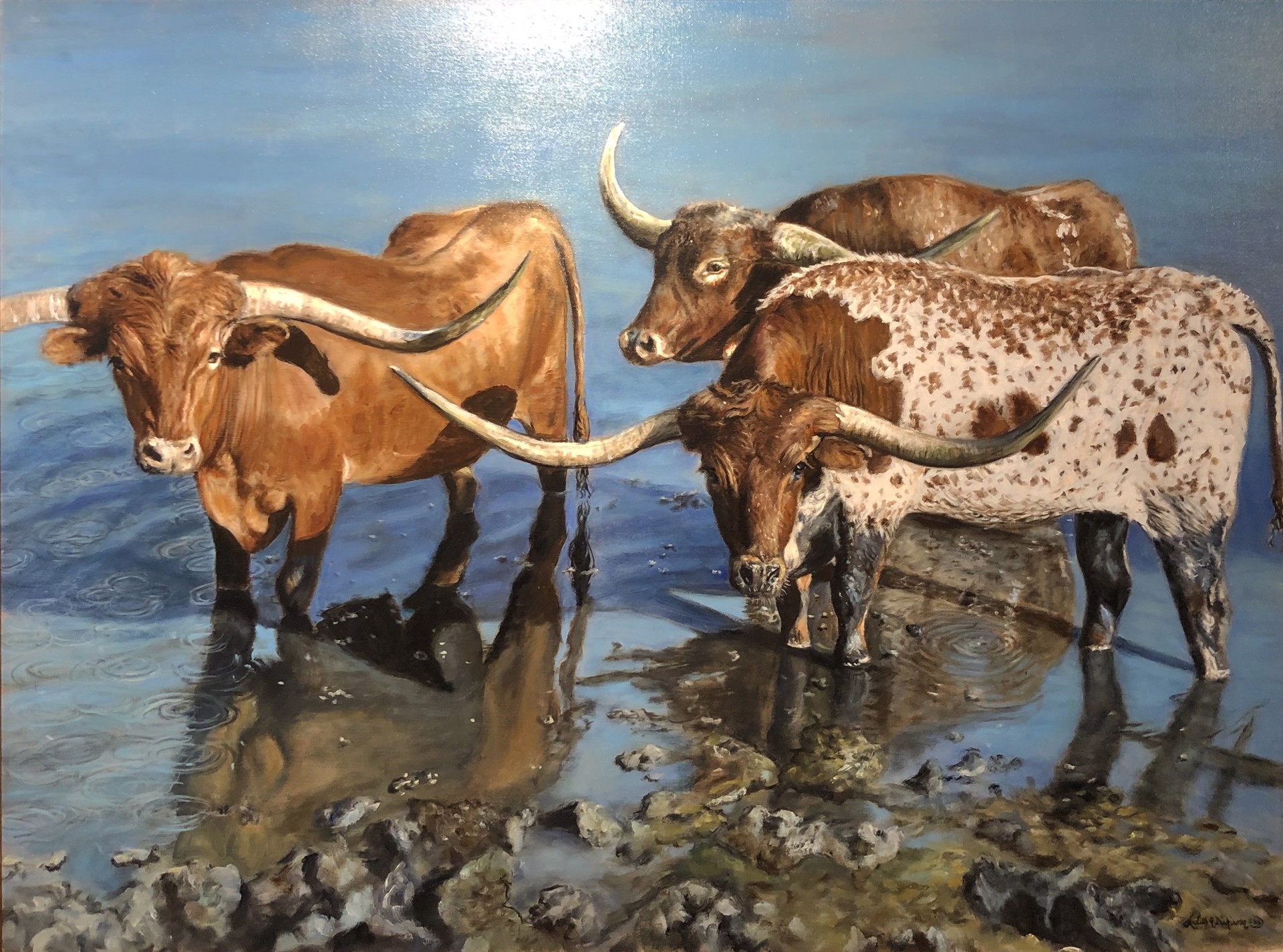 Longhorns by Judith Dickinson
