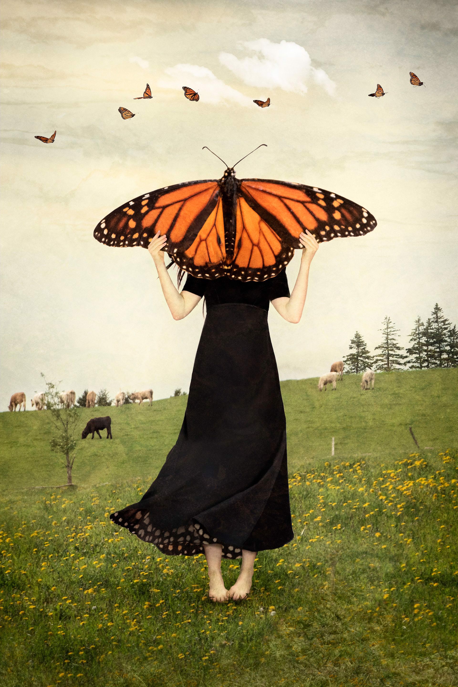 May Timid Wings Awaken by Elisabeth Ladwig