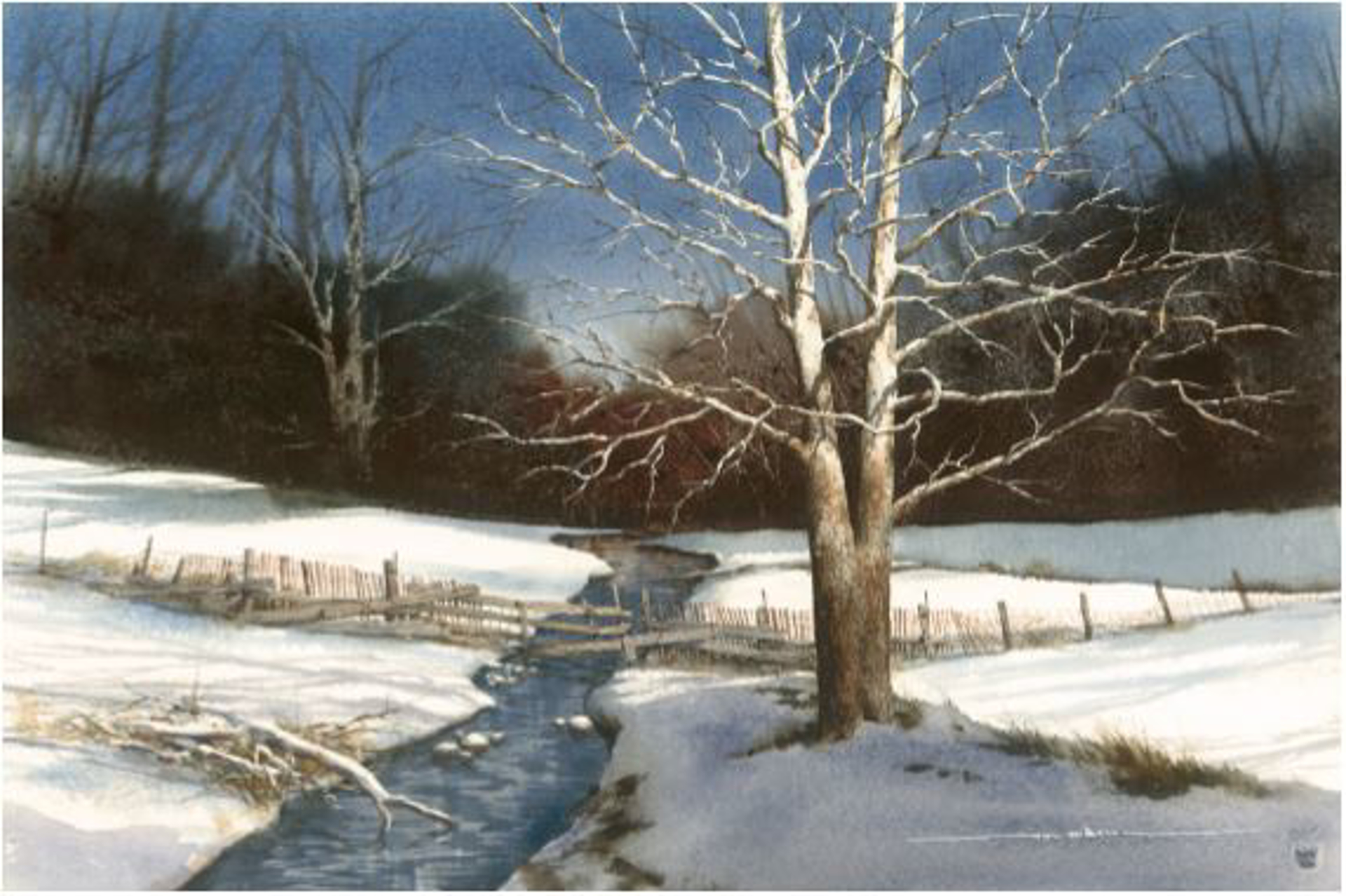 Winter Creek Print by Rob O'Dell