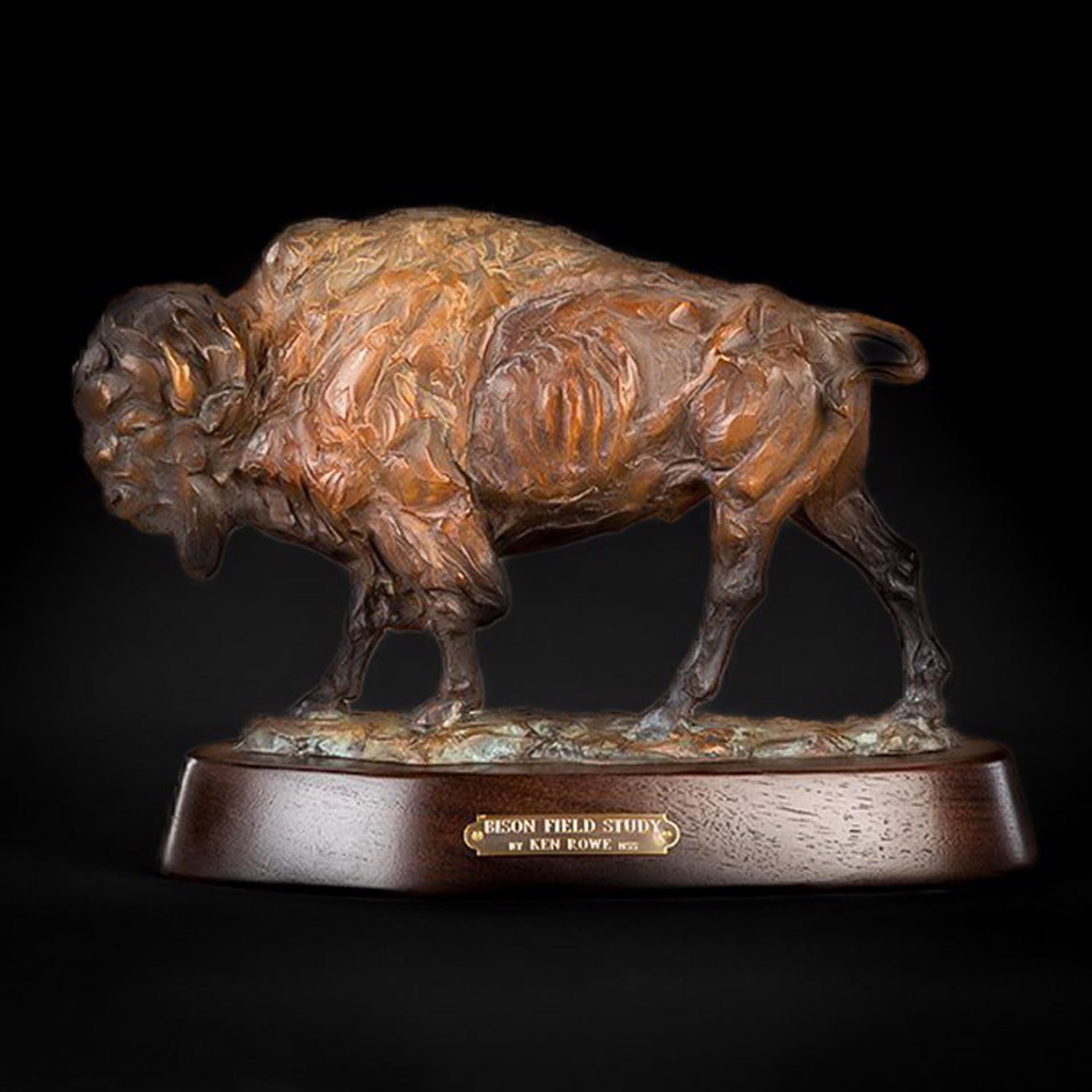 Bison Field Study (Edition of 99) by Ken Rowe