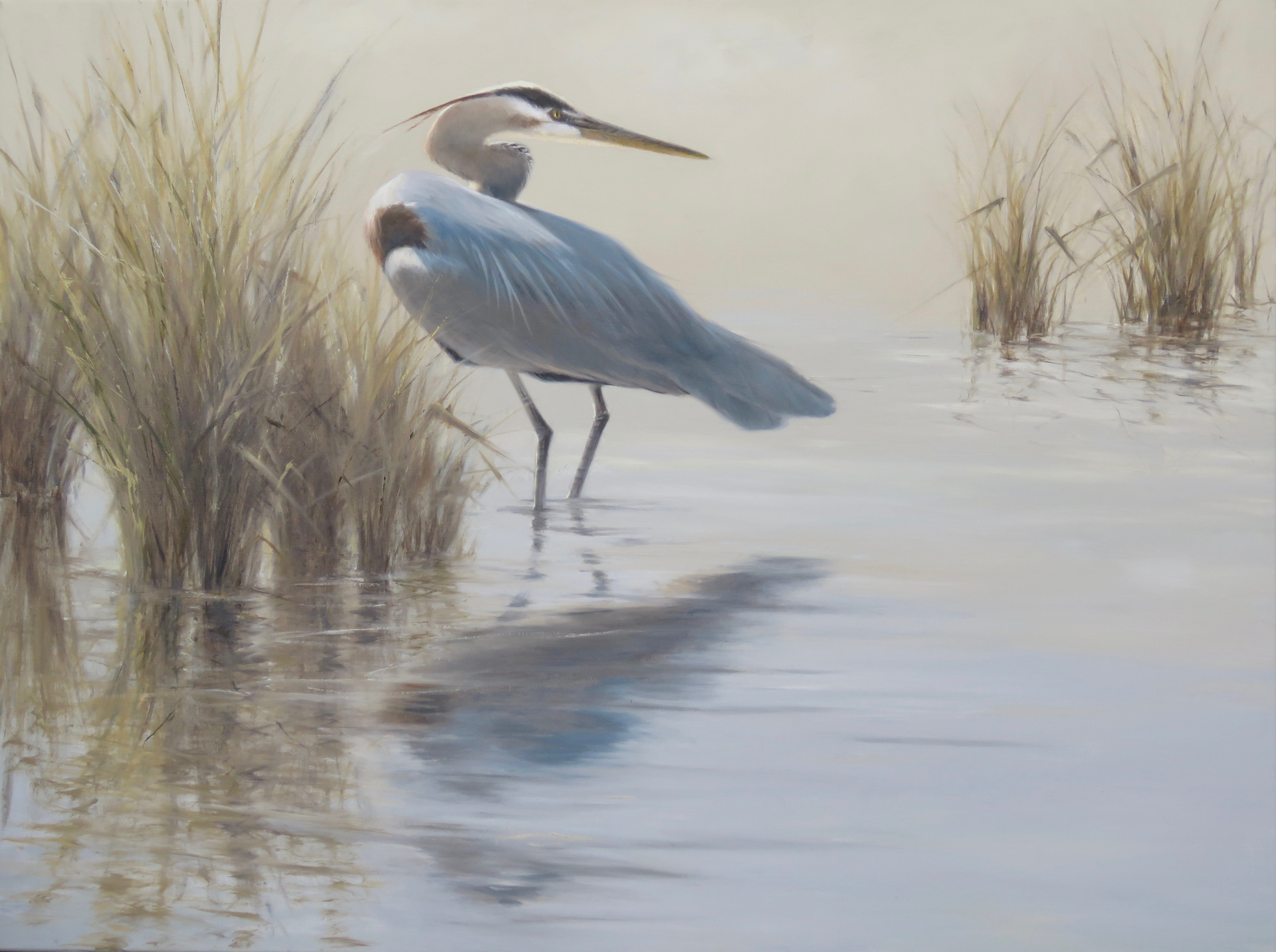 Great Blue Heron by Mary Erickson