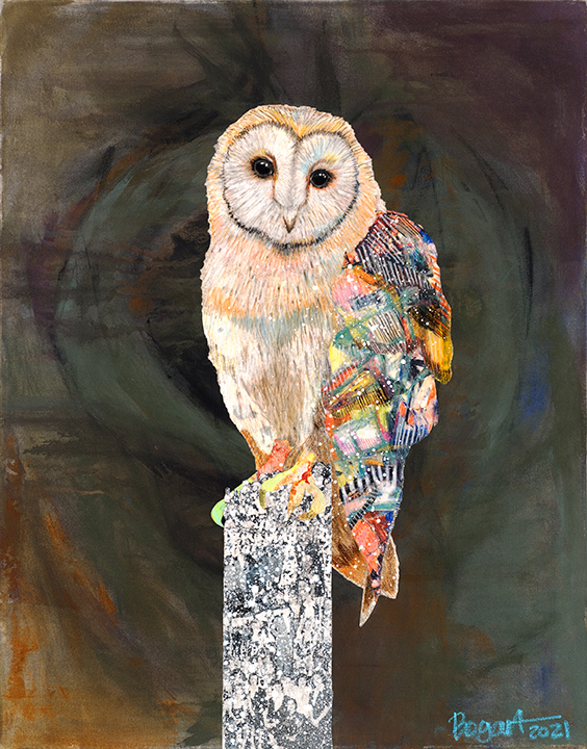 Barn Owl on a Snowy Night 5 by Brenda Bogart - Prints