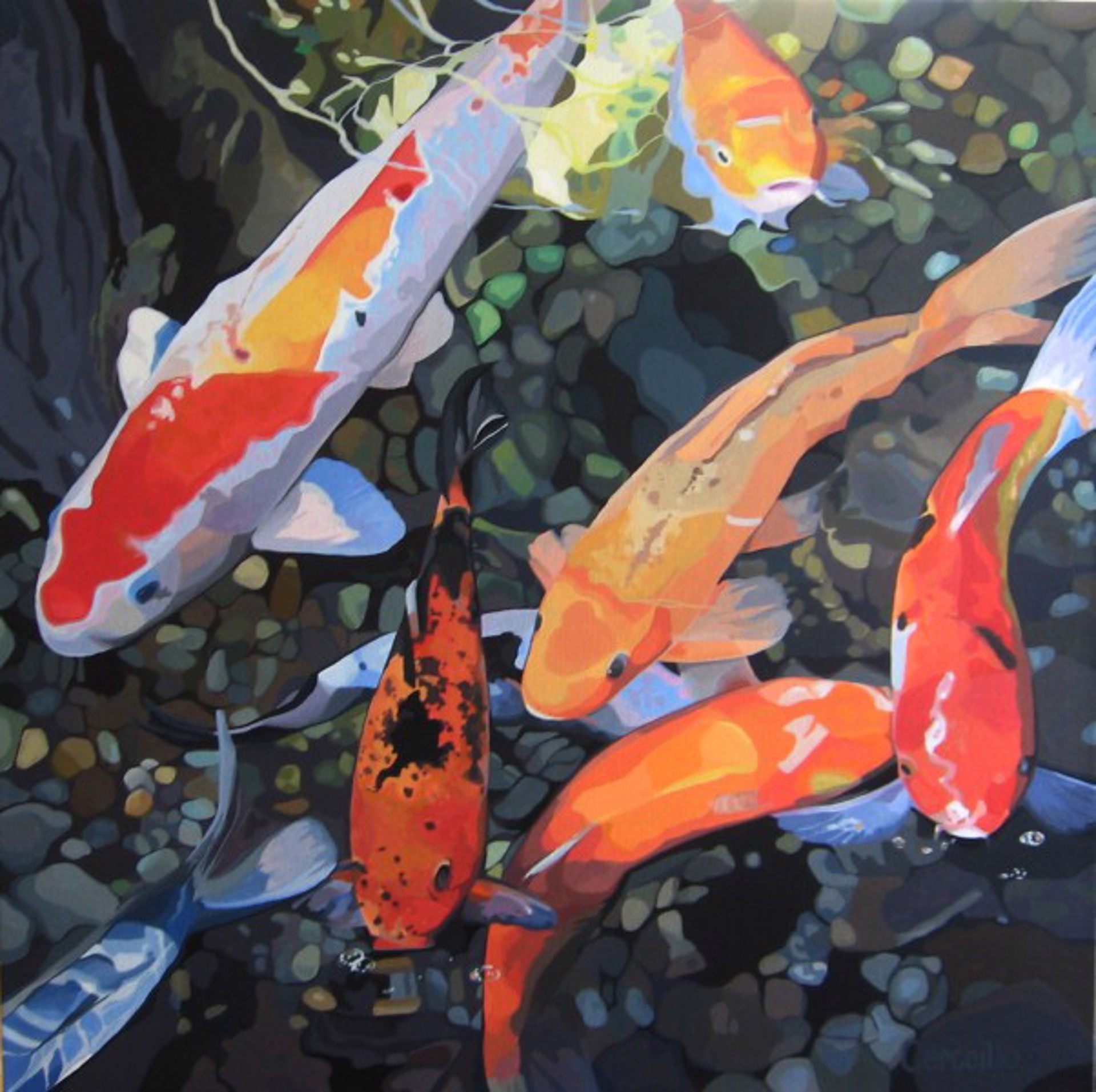 No Need to be Koi by Stephen Cerceillo