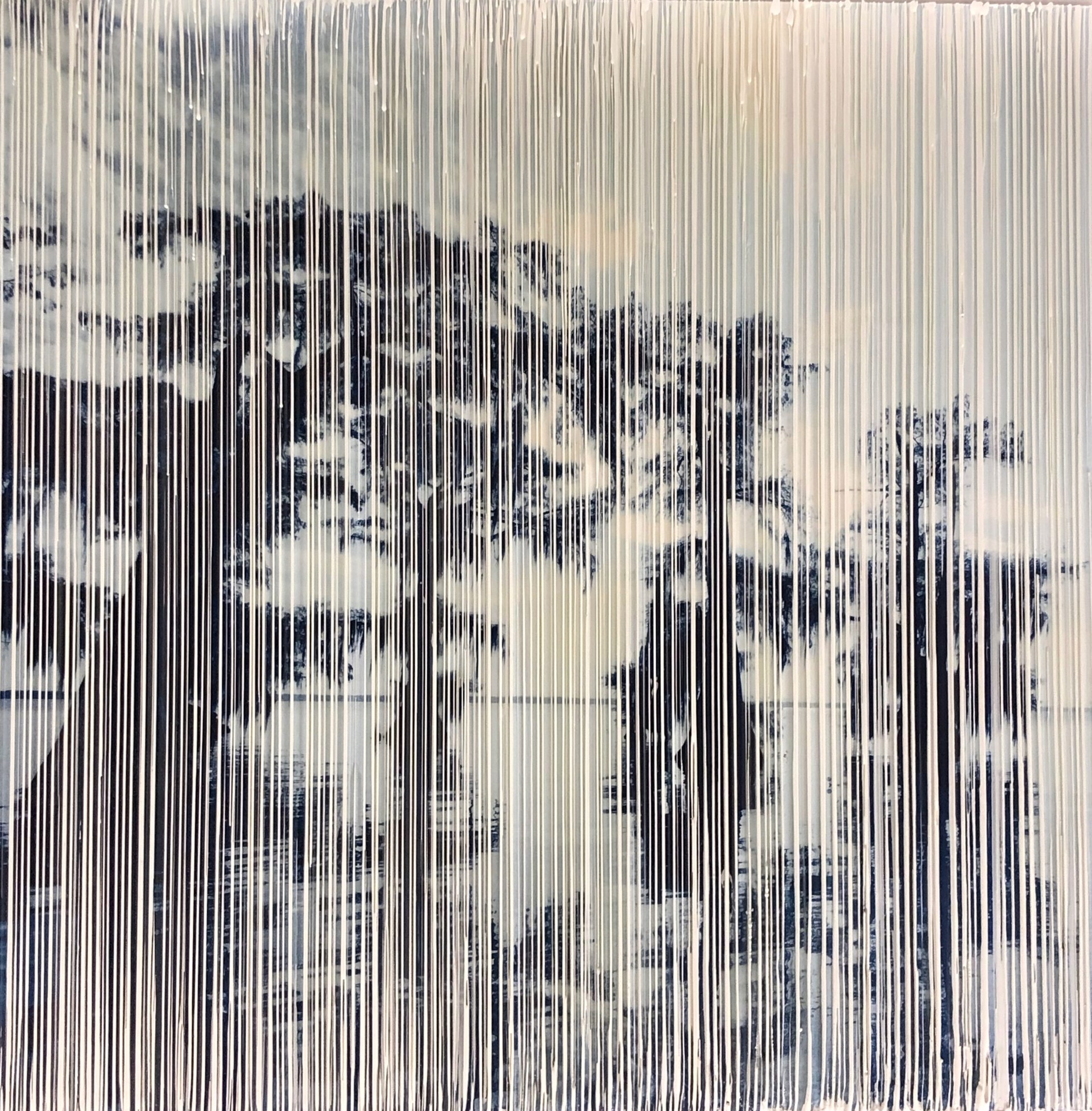 Cypress by Pezhman, Phoria Landscapes