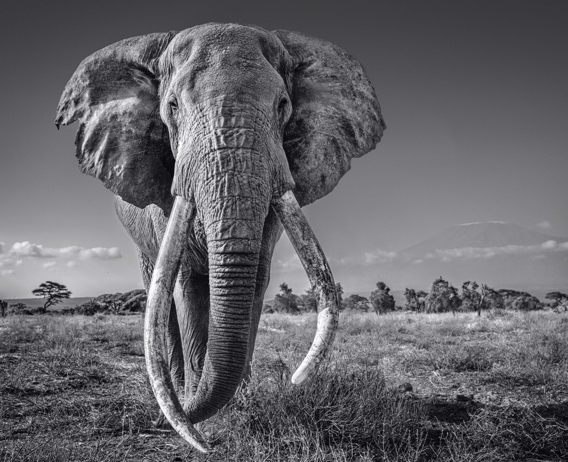 Space for Giants by David Yarrow